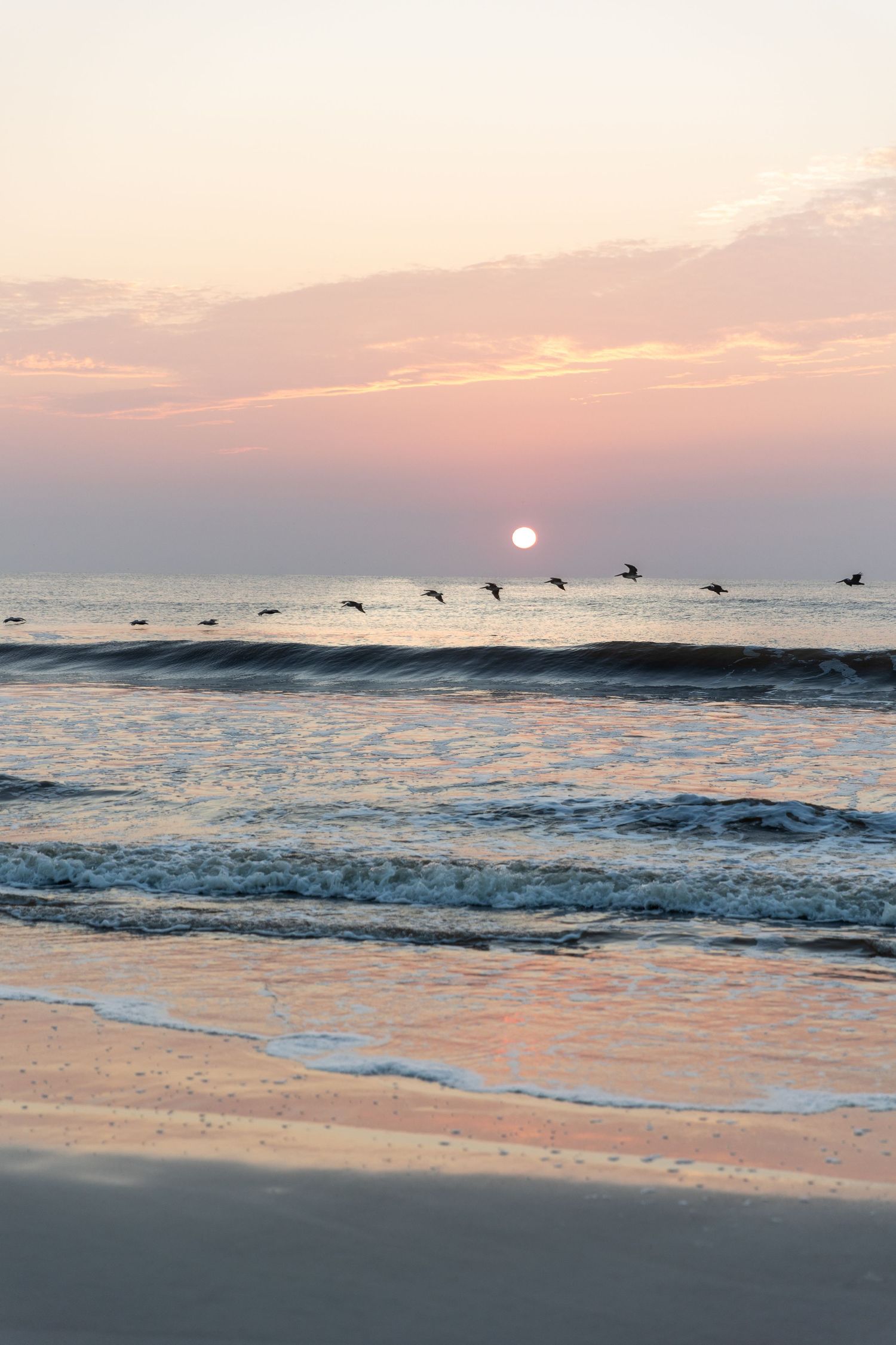 Silhouettes of birds flying over ocean waves at sunset with pink and orange sky reflecting on calm beach waters.