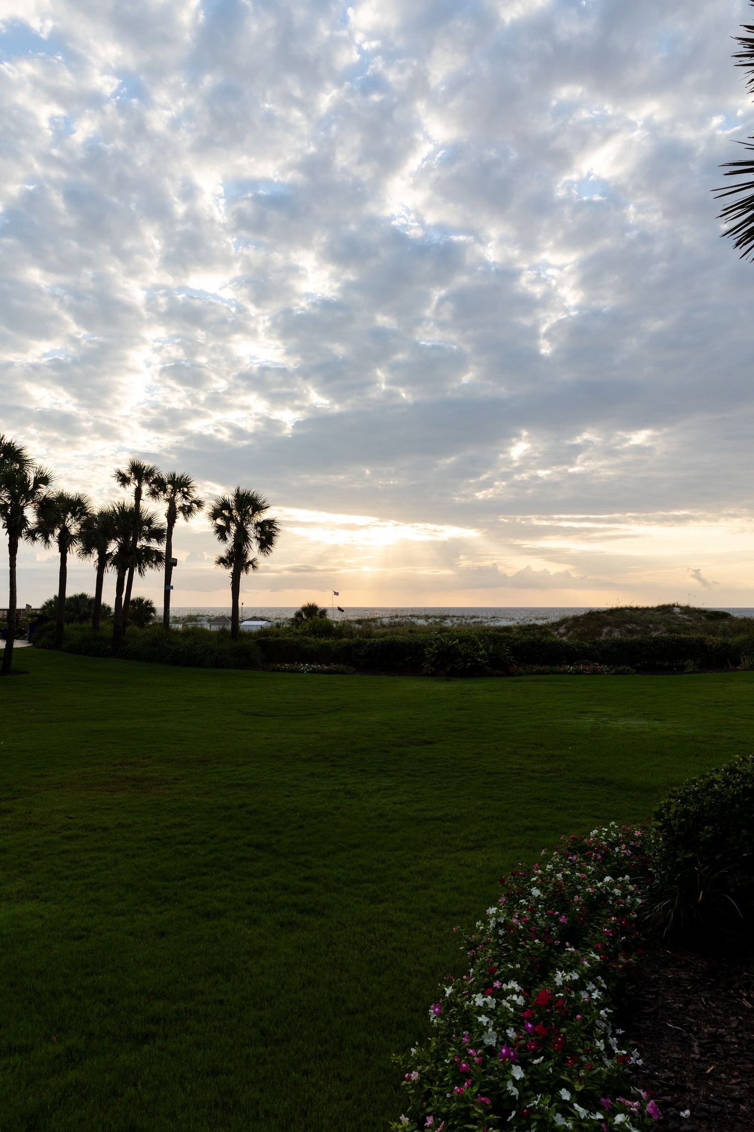 Palm trees line a green lawn overlooking the ocean at sunset with dramatic clouds in the sky.