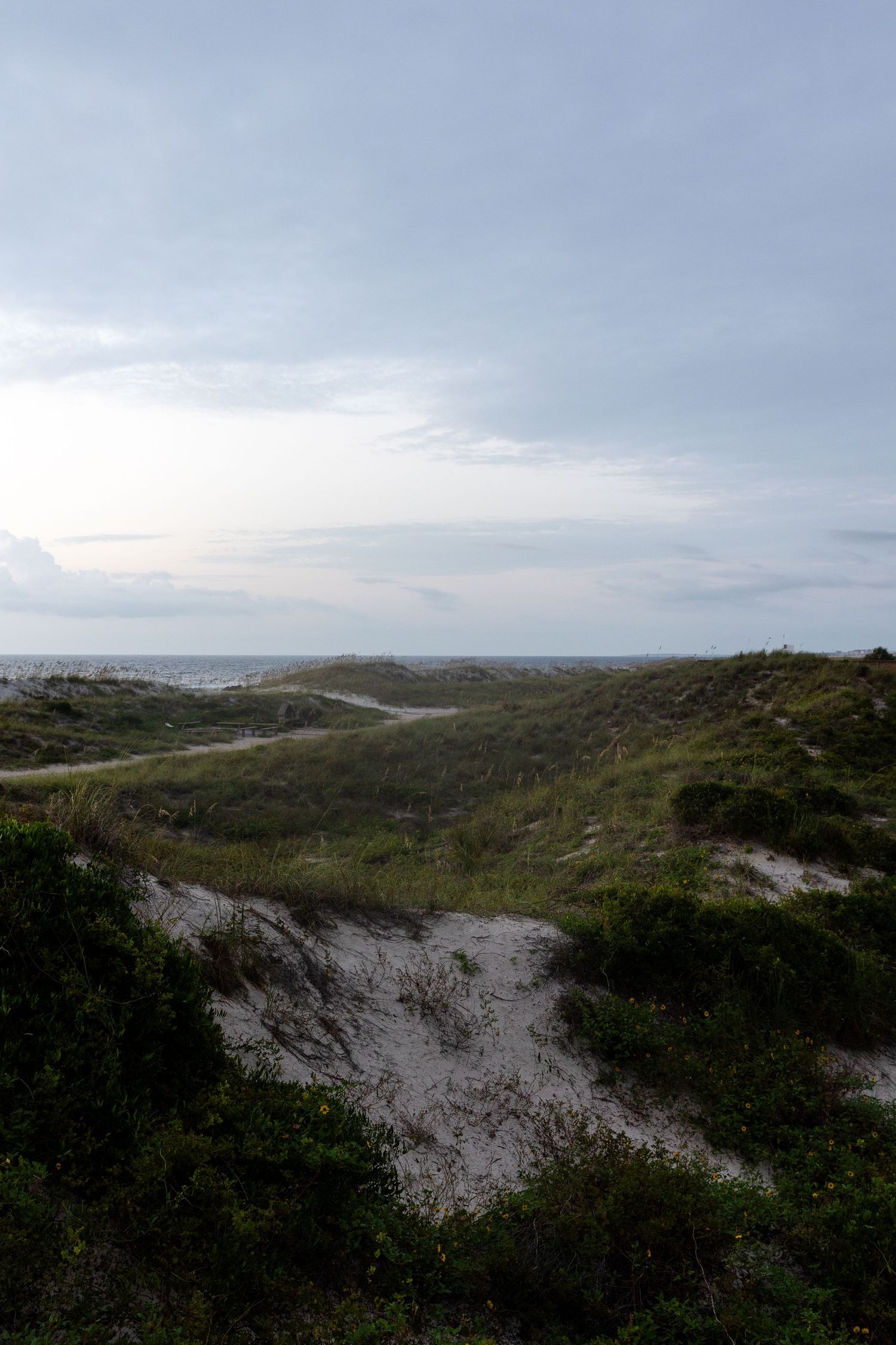 A winding path through coastal sand dunes leads to the ocean horizon under a cloudy sky.