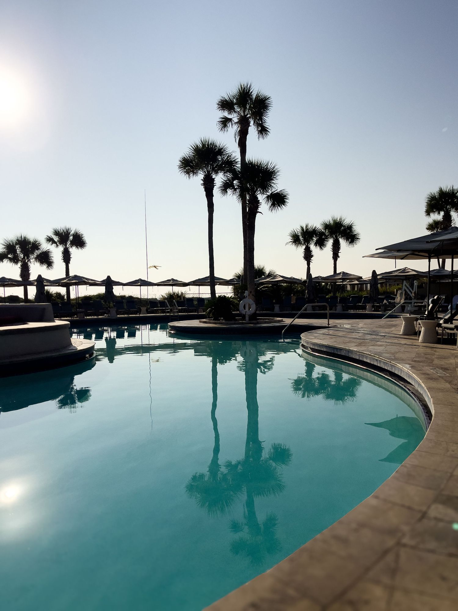 Palm trees silhouette a curved swimming pool at sunset with lounge chairs and umbrellas along the deck at a resort.