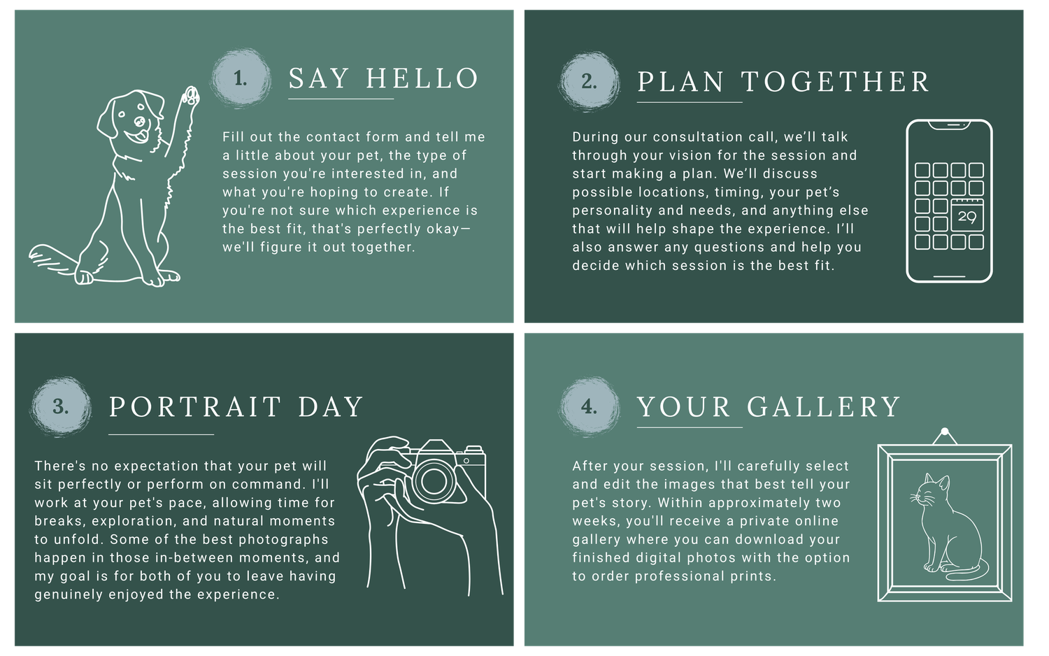 A four-step pet photography process guide covering consultation, planning, portrait day, and gallery delivery.