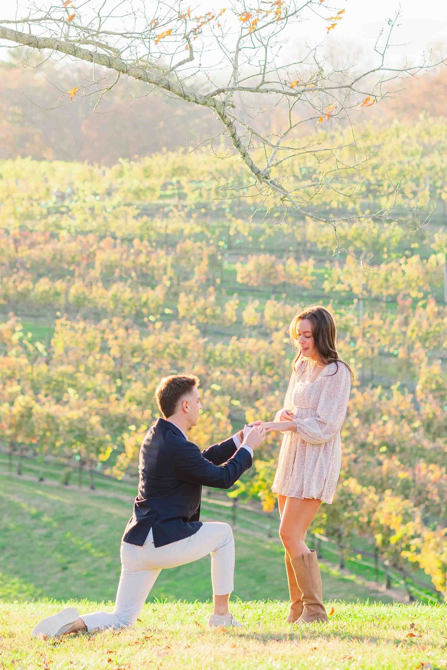 Man on one knee proposing to woman in pink dress at a scenic vineyard during autumn golden hour.