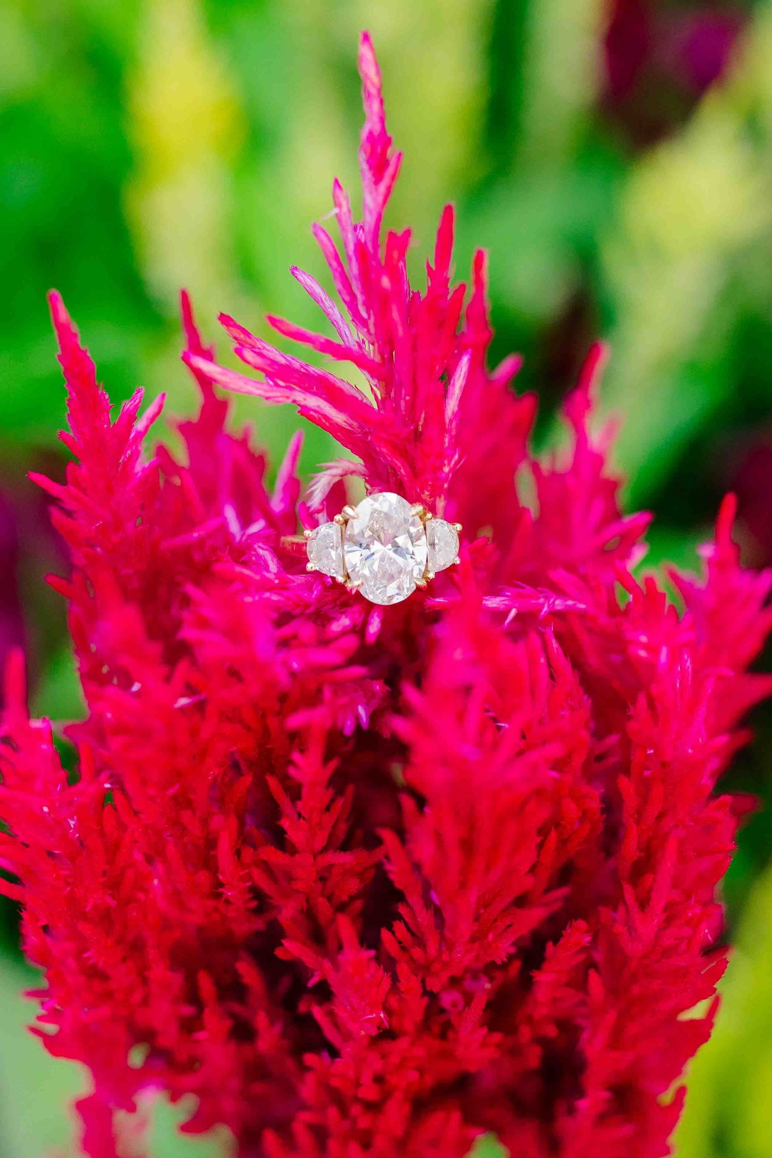 Elegant oval diamond engagement ring displayed on vibrant red celosia flower with green garden background.