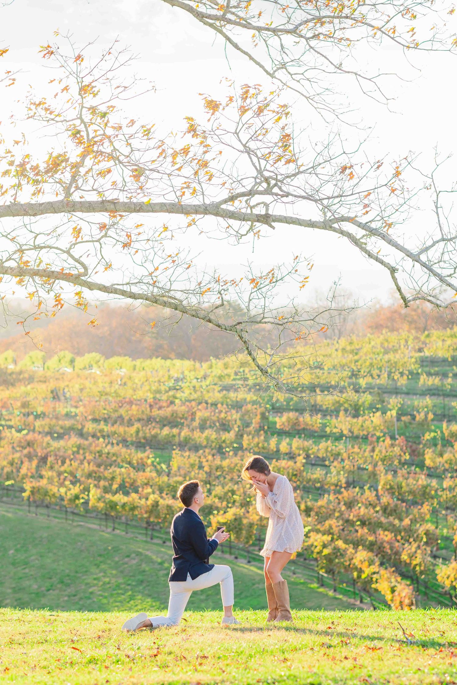 Man proposes on one knee to woman in vineyard during autumn golden hour.