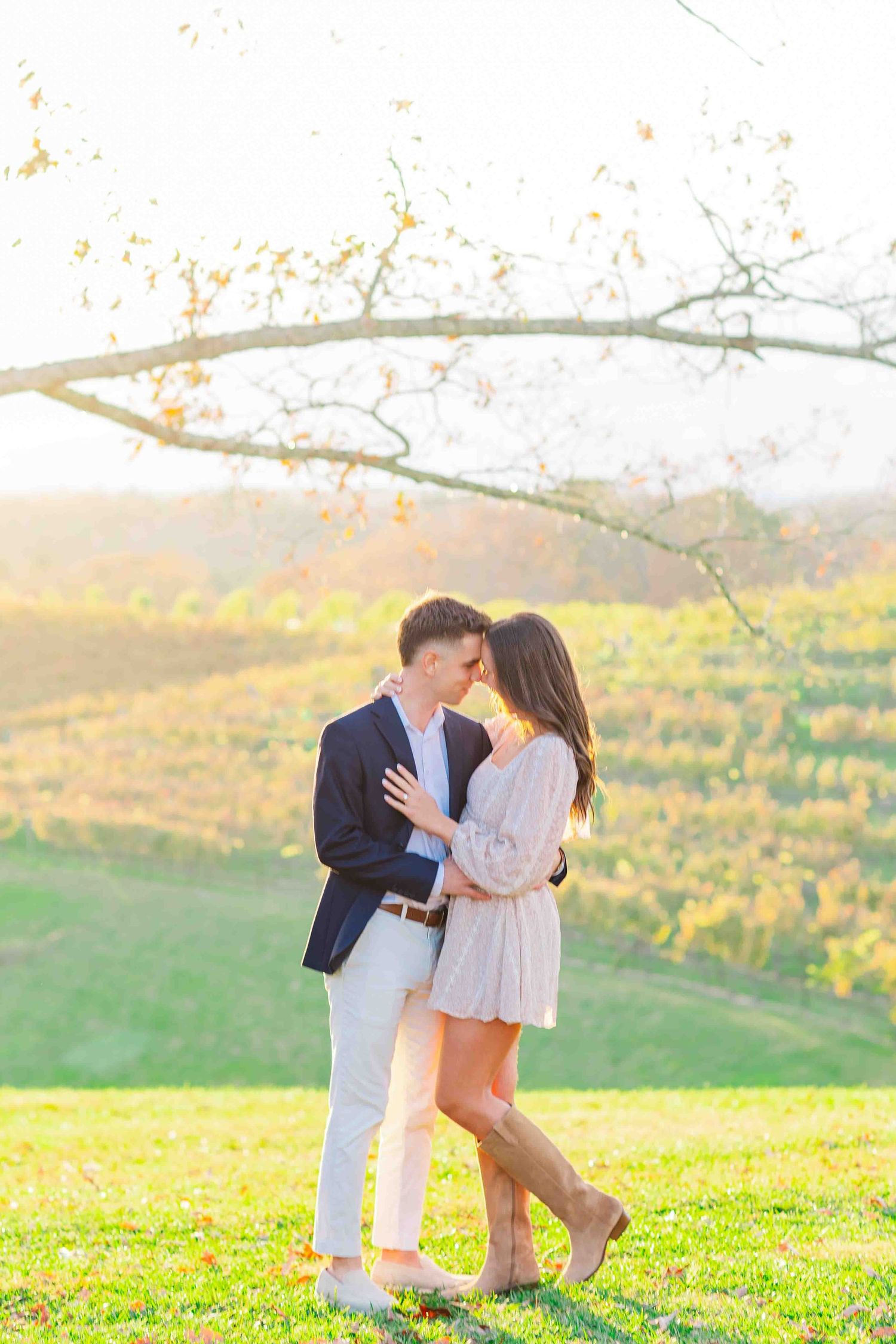 Couple sharing a romantic kiss under a bare tree branch at golden hour in a vineyard setting.