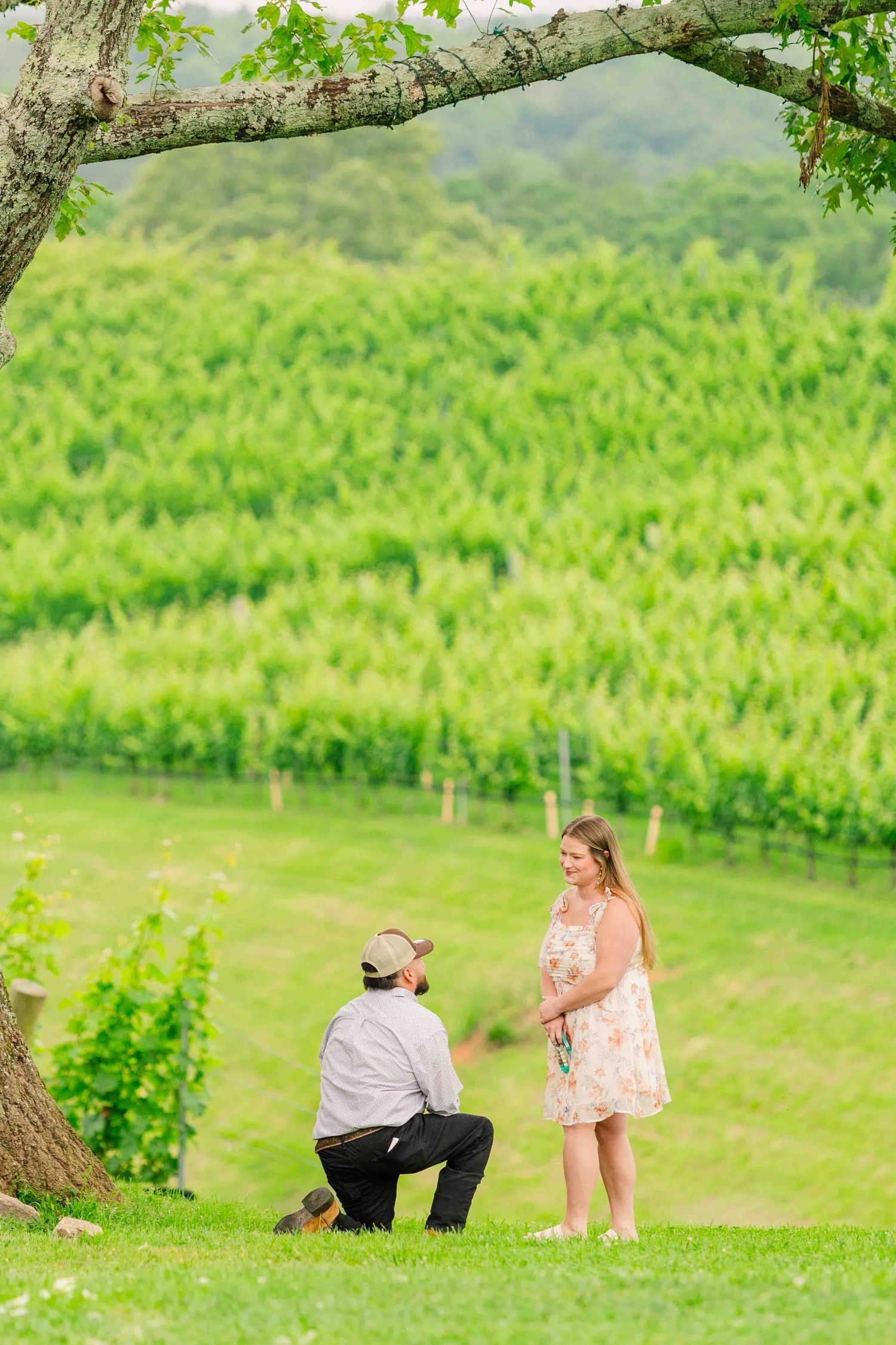 Man on one knee proposing to woman in floral dress at scenic vineyard with rolling green hills backdrop.