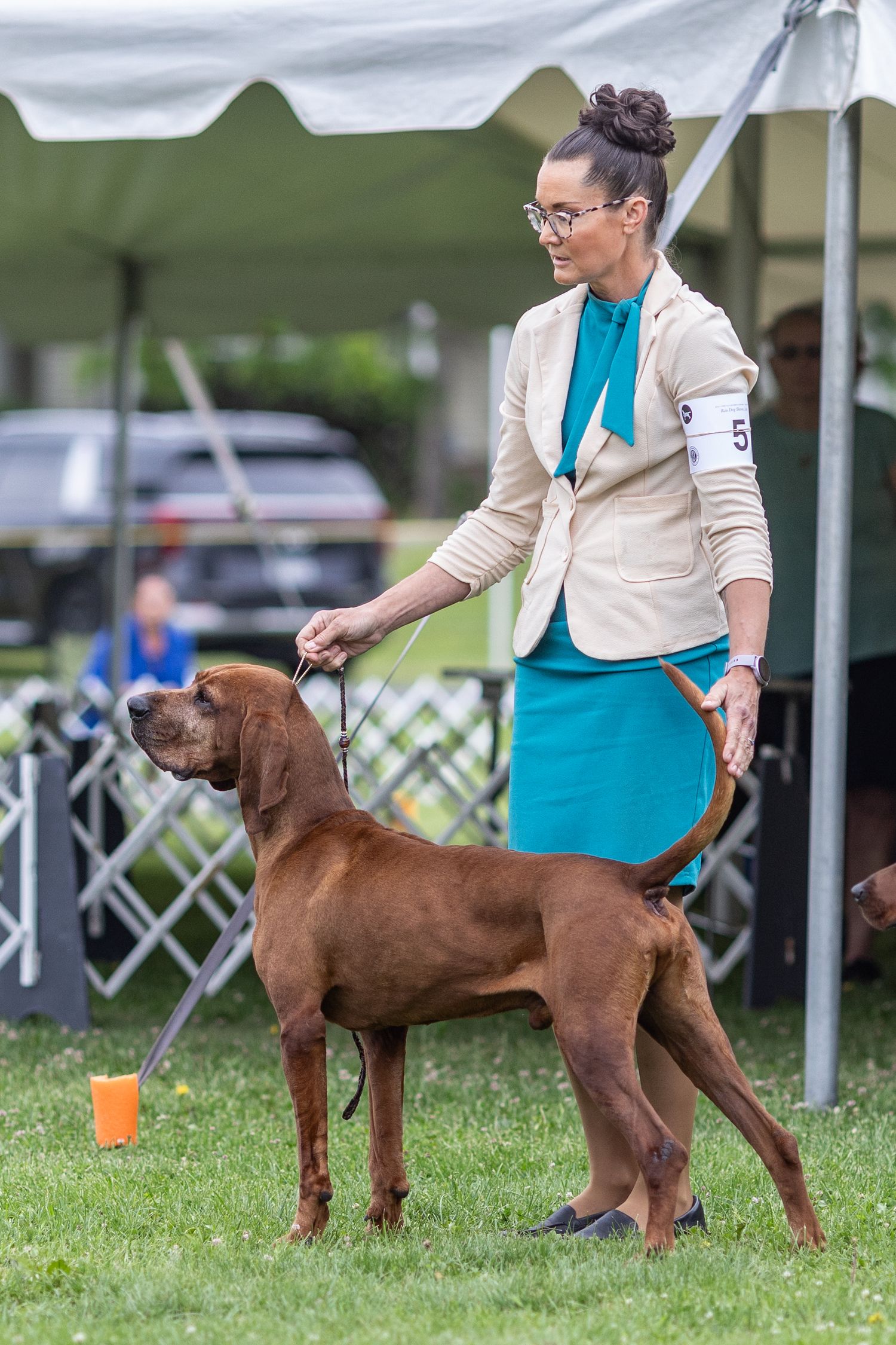 Smiling woman in teal skirt and white blazer handles a Redbone Coonhound at an outdoor dog show.
