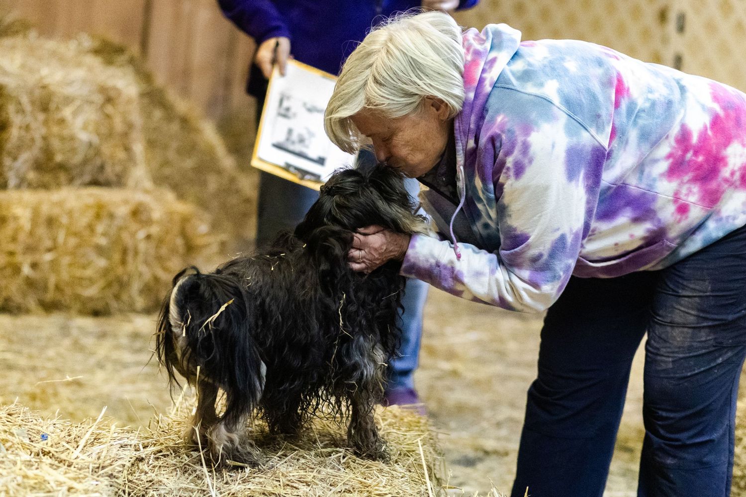 A woman in a tie-dye hoodie pets a wet black Cocker Spaniel dog near hay bales in a barn.