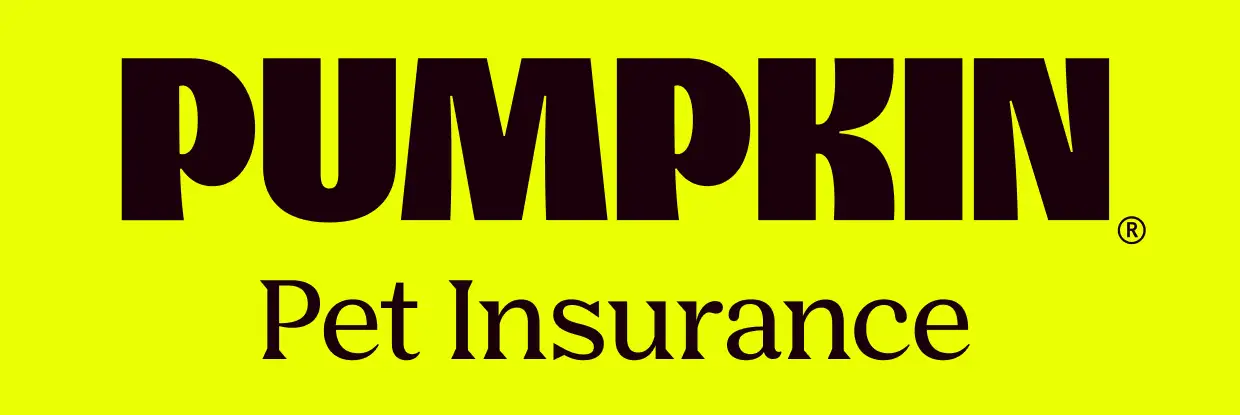 Pumpkin Pet Insurance logo on a bright yellow-green background with bold black typography.