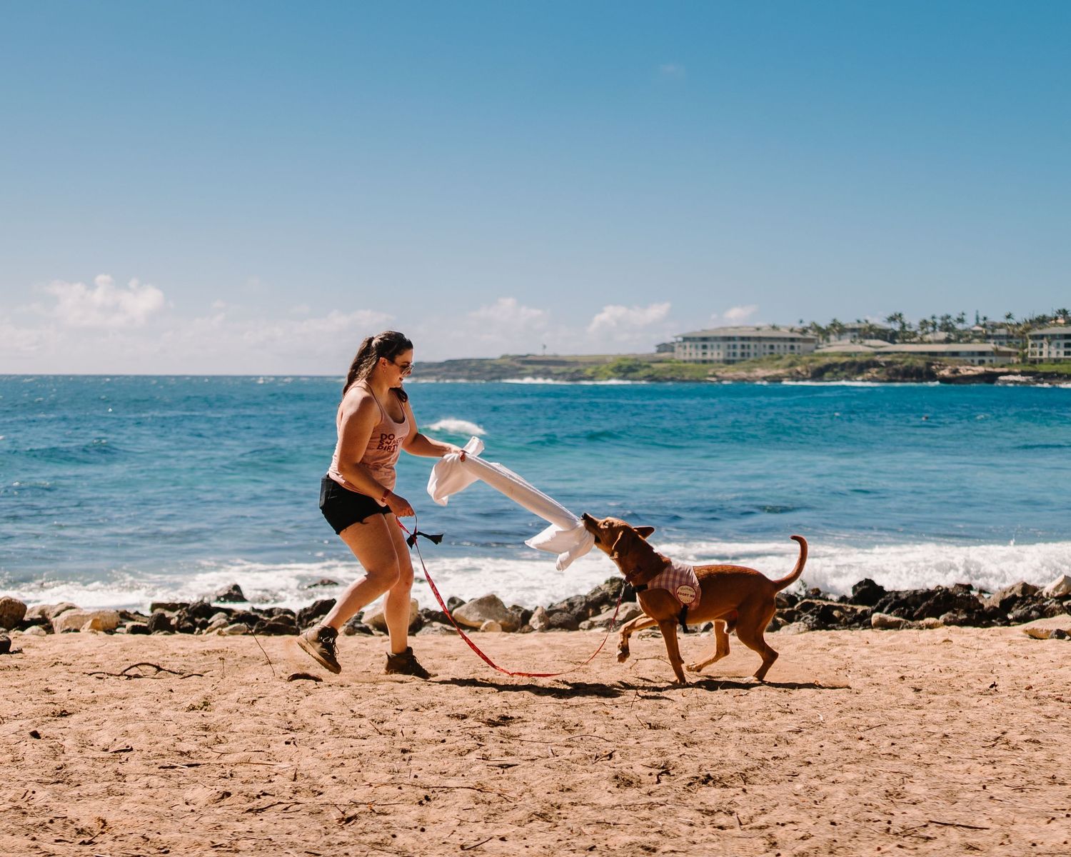 Woman playing tug with a brown dog on a sunny sandy beach with blue ocean waves in the background.