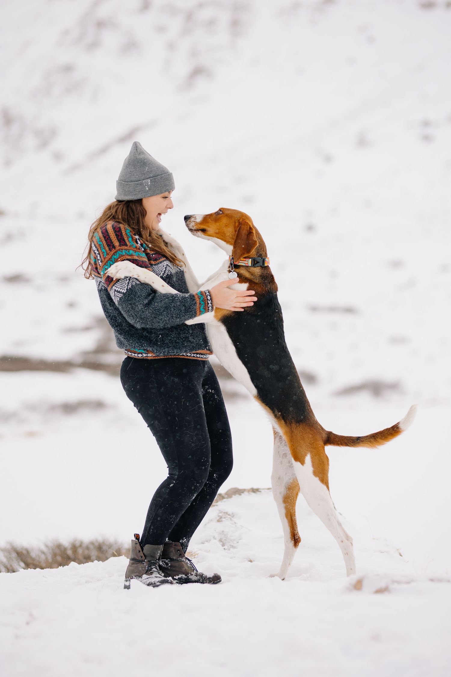 A young woman in a gray beanie laughs as her American Foxhound jumps up on her in a snowy winter landscape.