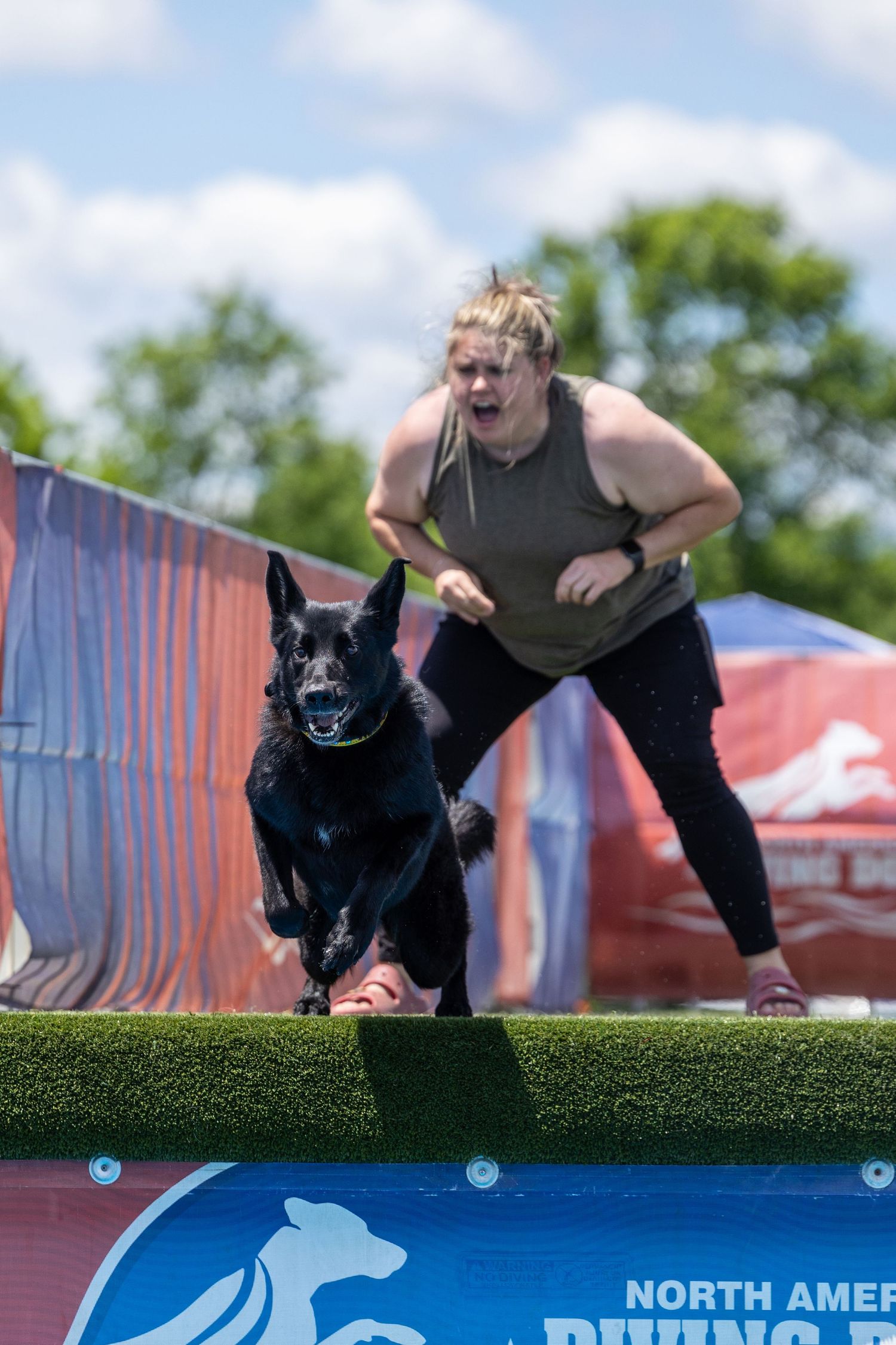 Woman and black German Shepherd dog competing at North American Diving Dogs outdoor event on sunny day.