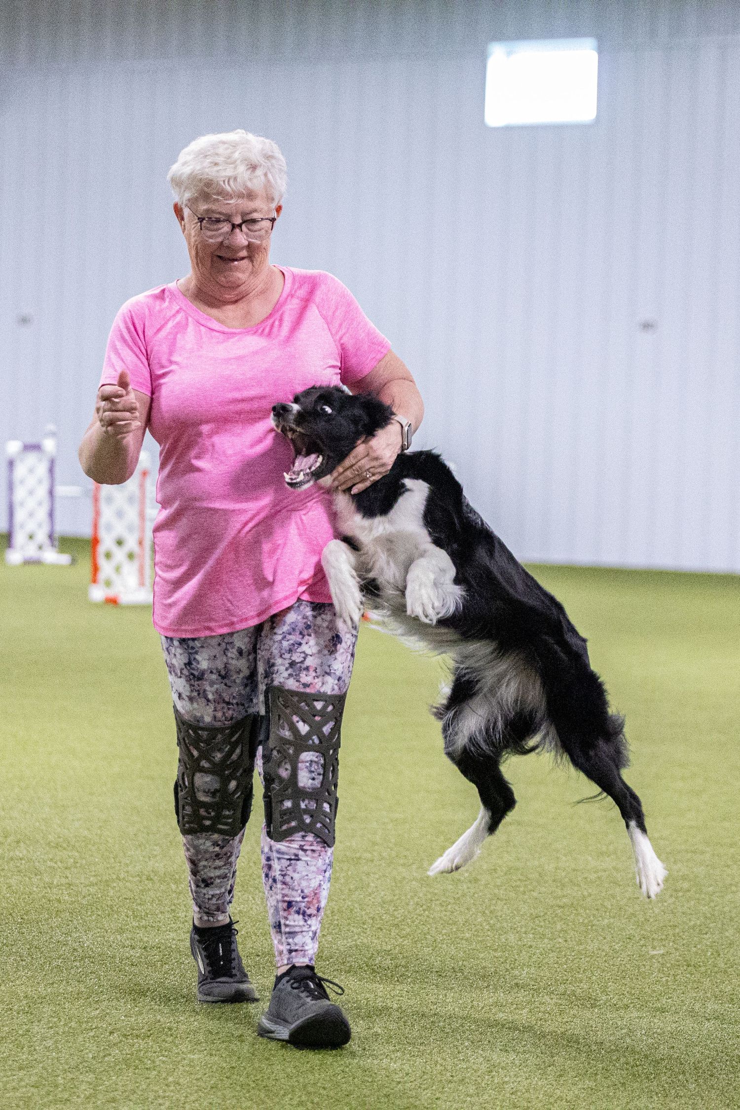 Senior woman in pink shirt training a black and white Border Collie jumping at an indoor agility course.