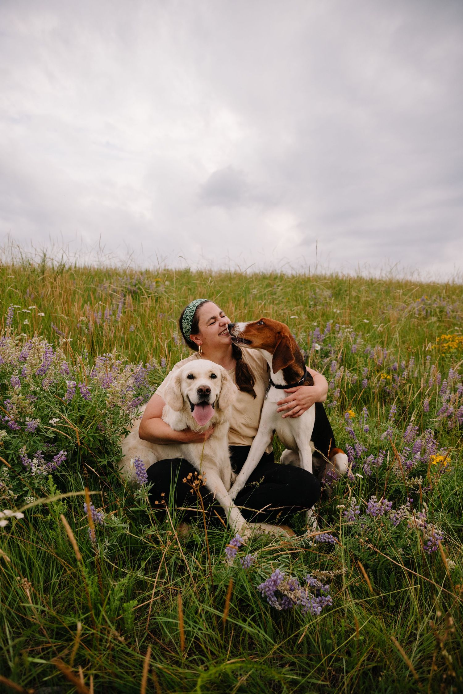 A woman sits in a field of purple wildflowers hugging a light colored Golden Retriever and a tricolor American Foxhound.
