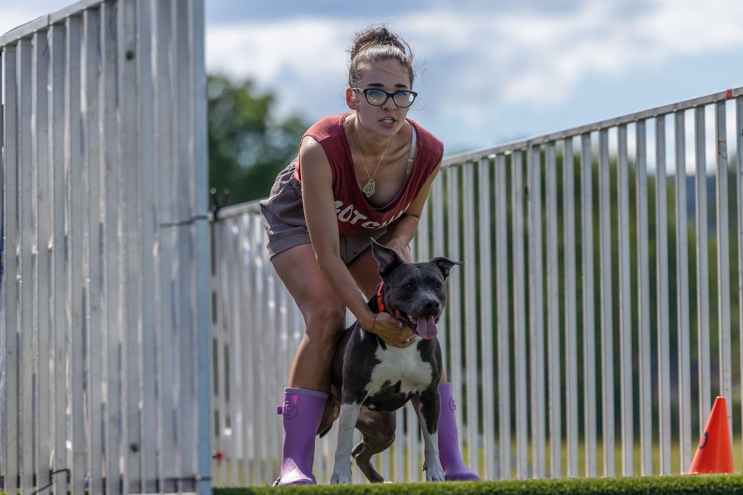 Woman in glasses holds back a gray pit bull on the dock at a dock diving competition.