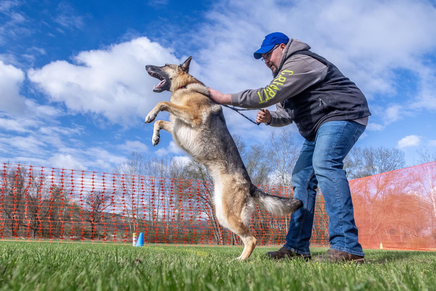 A man struggles to hold an enthusiastic and excited German Shepherd at the beginning of a Fast CAT lane.