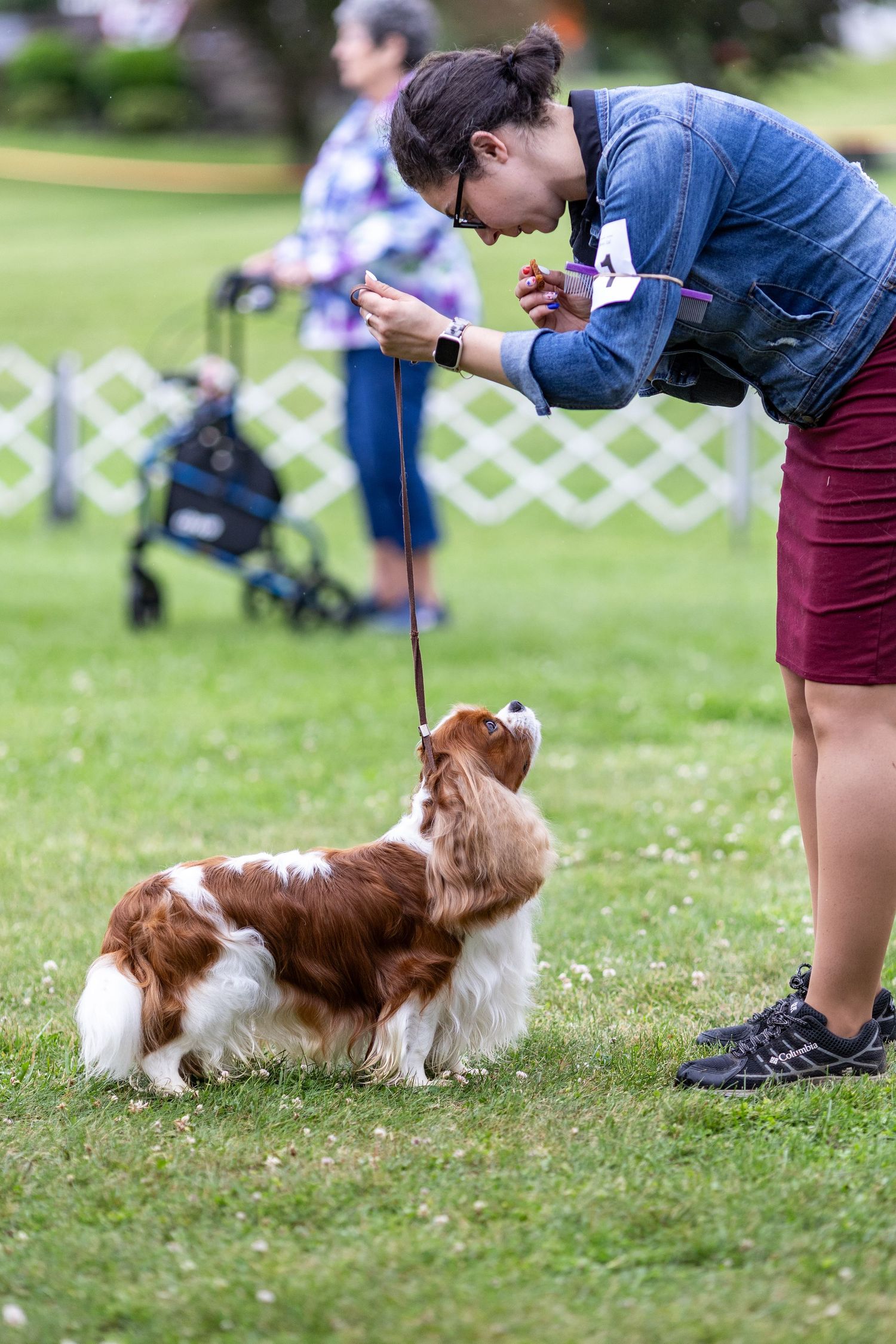 Woman in denim jacket training a Cavalier King Charles Spaniel with a treat at an outdoor dog show.