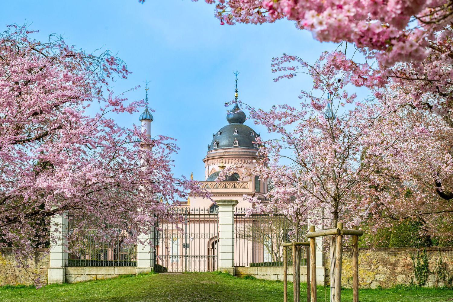 Photograph by Allie of Schwetzingen, Germany, featuring a historic garden pavilion framed by rows of pink cherry and almond blossoms in full