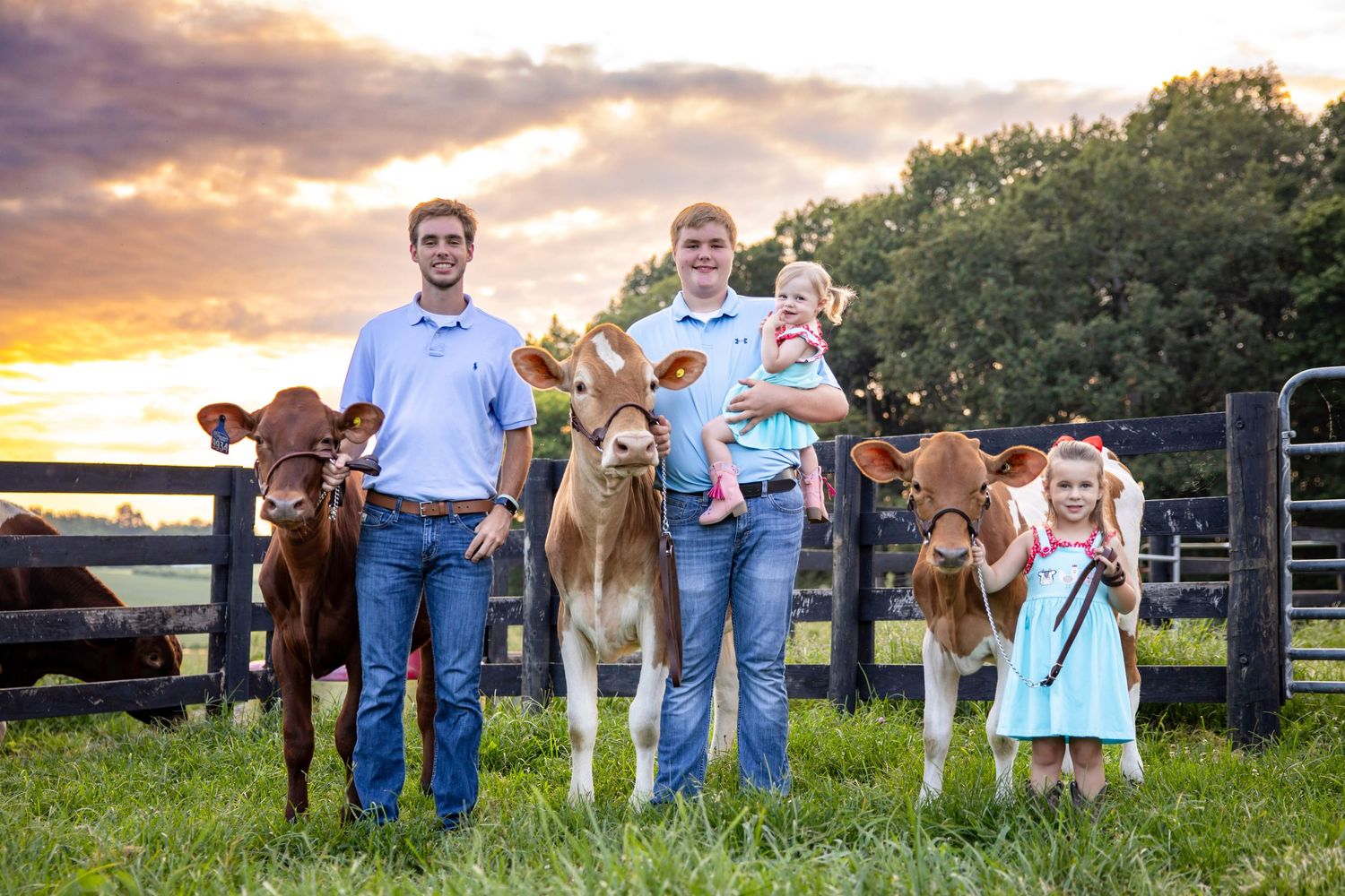 Two men with young children holding brown calves in pasture during beautiful sunset farm portrait.