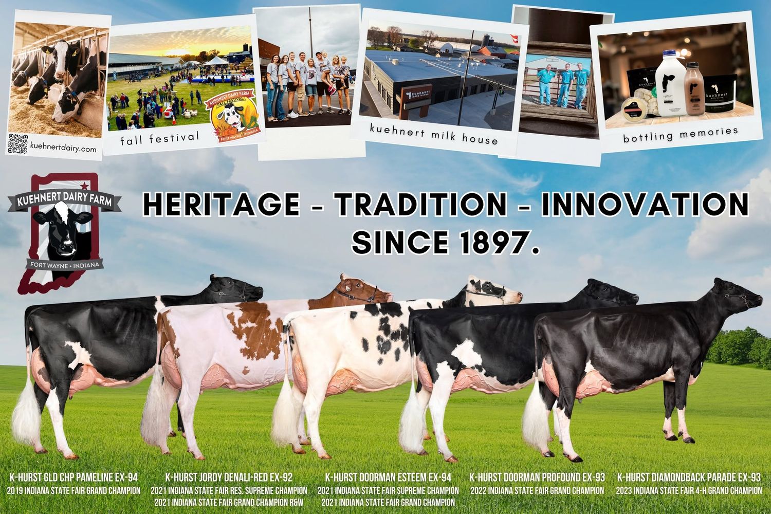 Heritage dairy farm advertisement showcasing Holstein cows with slogan Heritage Tradition Innovation Since 1897.