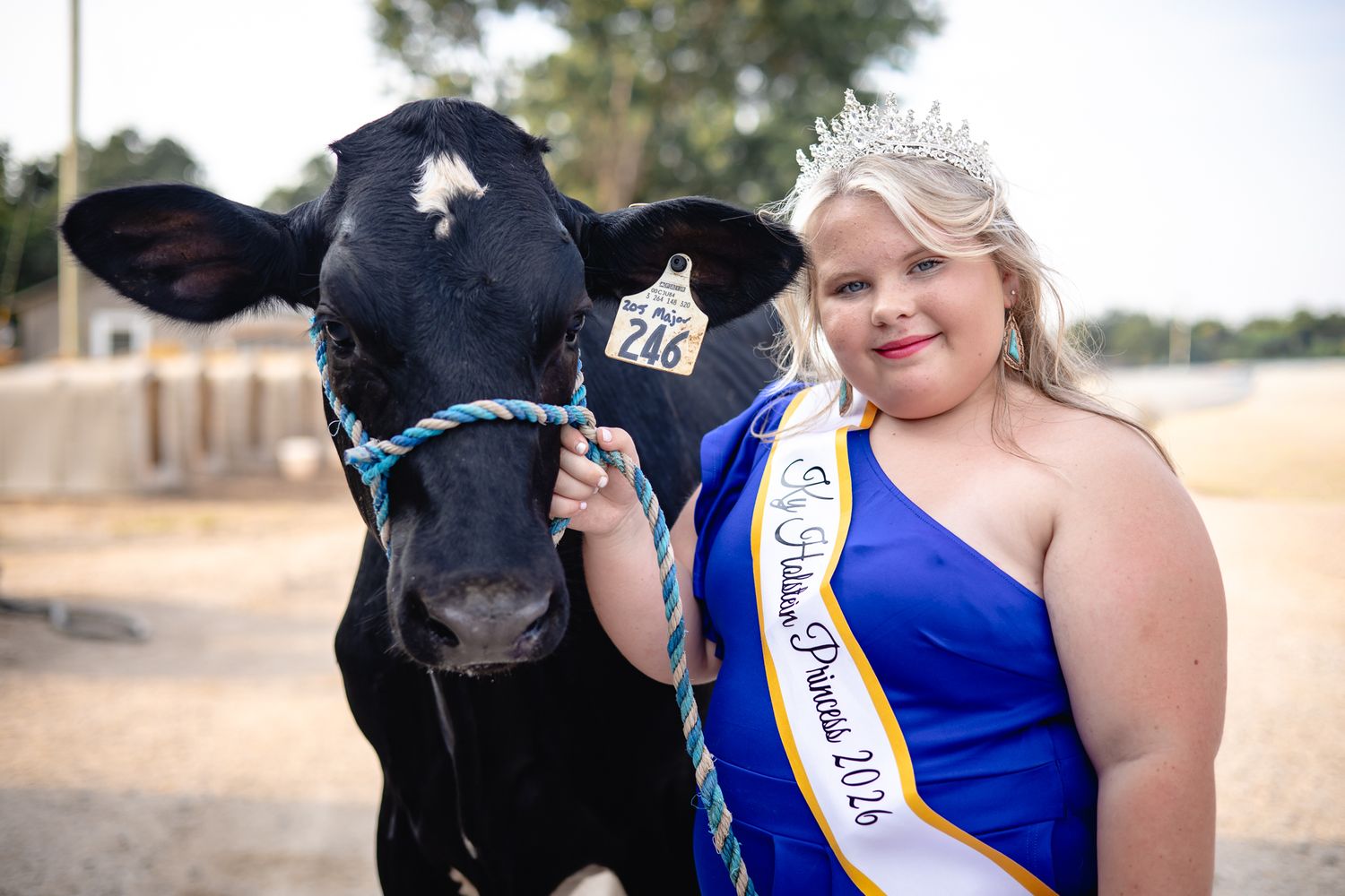 Young woman in blue gown and tiara wearing a dairy princess sash poses with a black and white calf at a county fair.