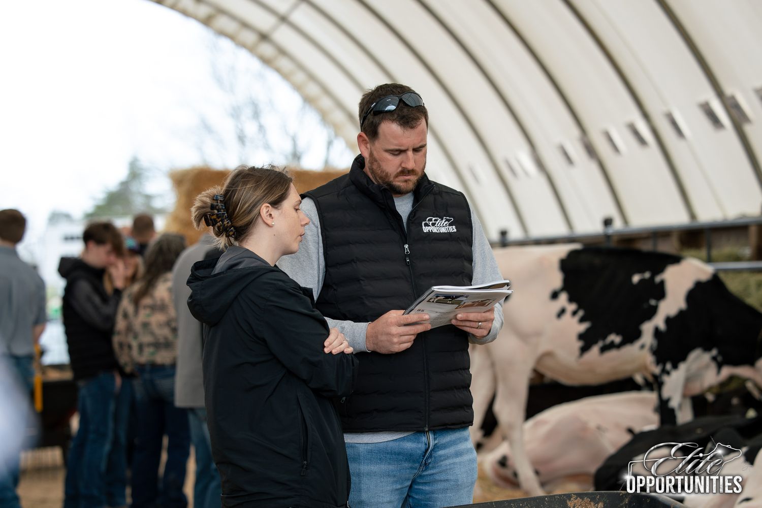 Two people reviewing documents in a barn with Holstein dairy cows during an agricultural farm visit.