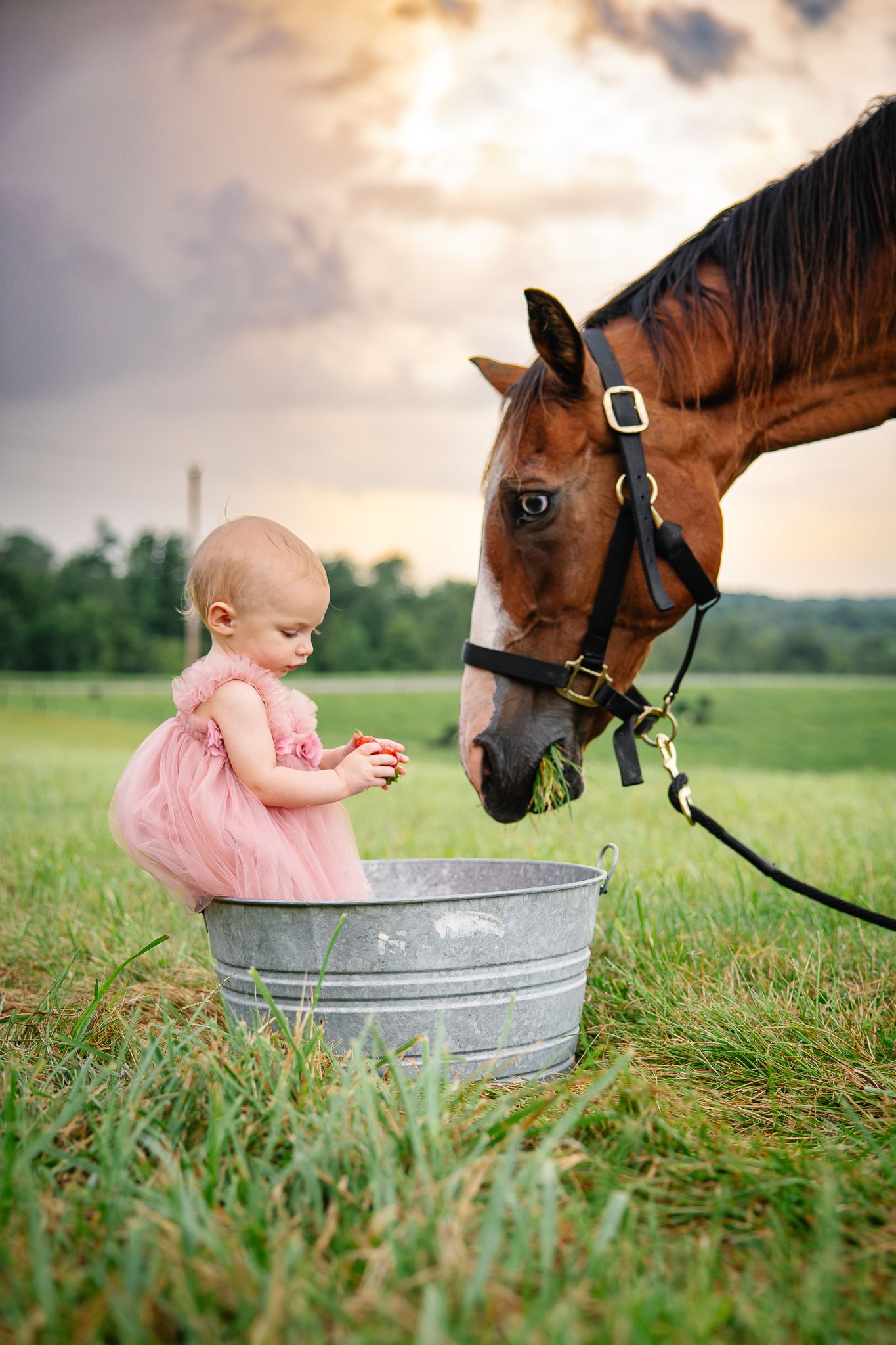 Baby in pink dress sitting in galvanized tub while horse leans in curiously.
