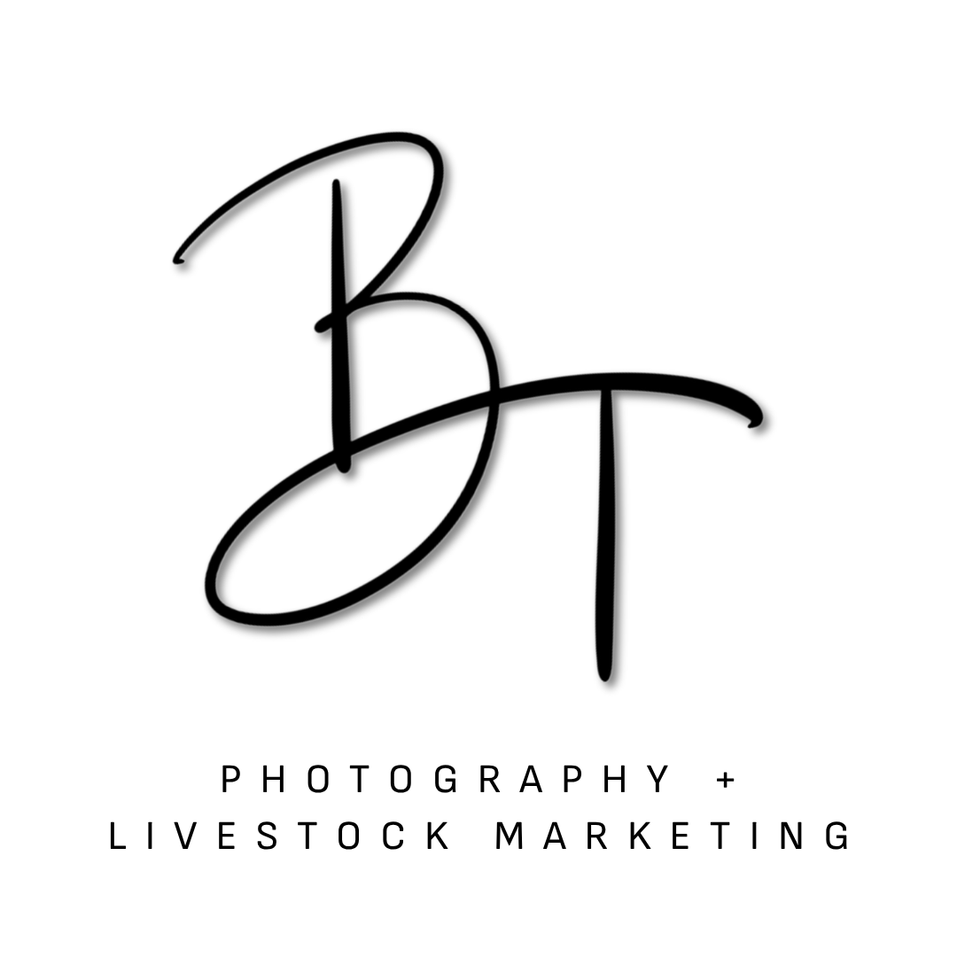 BT Photography and Livestock Marketing minimalist logo with handwritten style black initials.