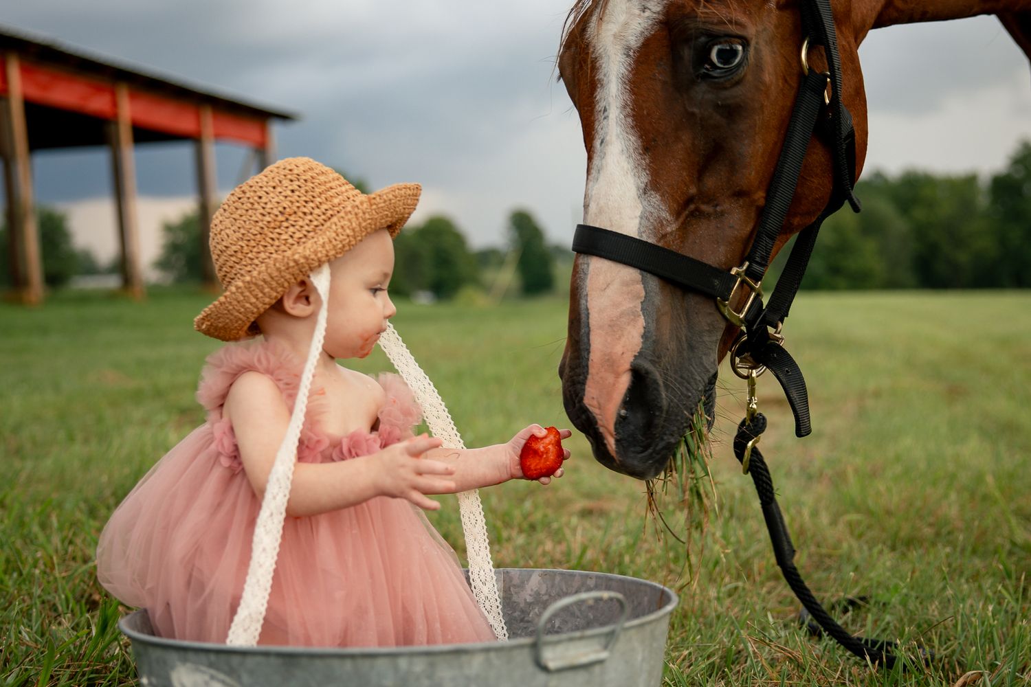 Cute toddler girl in pink dress and straw hat feeding apple to horse on farm.