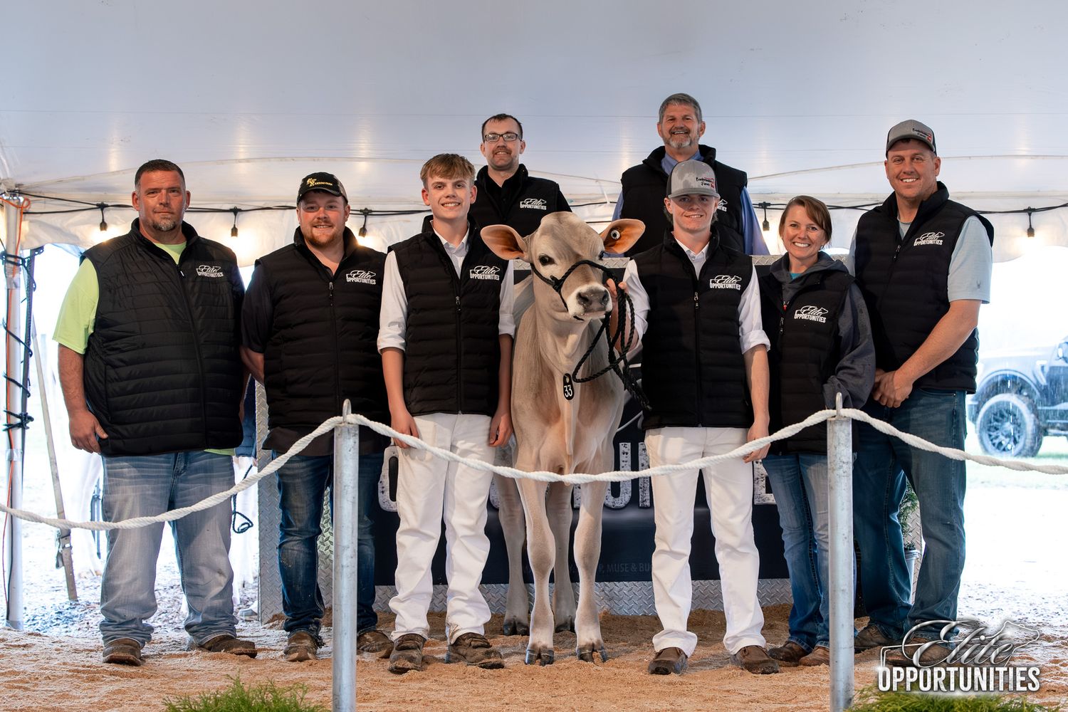 Group of eight people posing with a dairy cow at a livestock show under a tent.