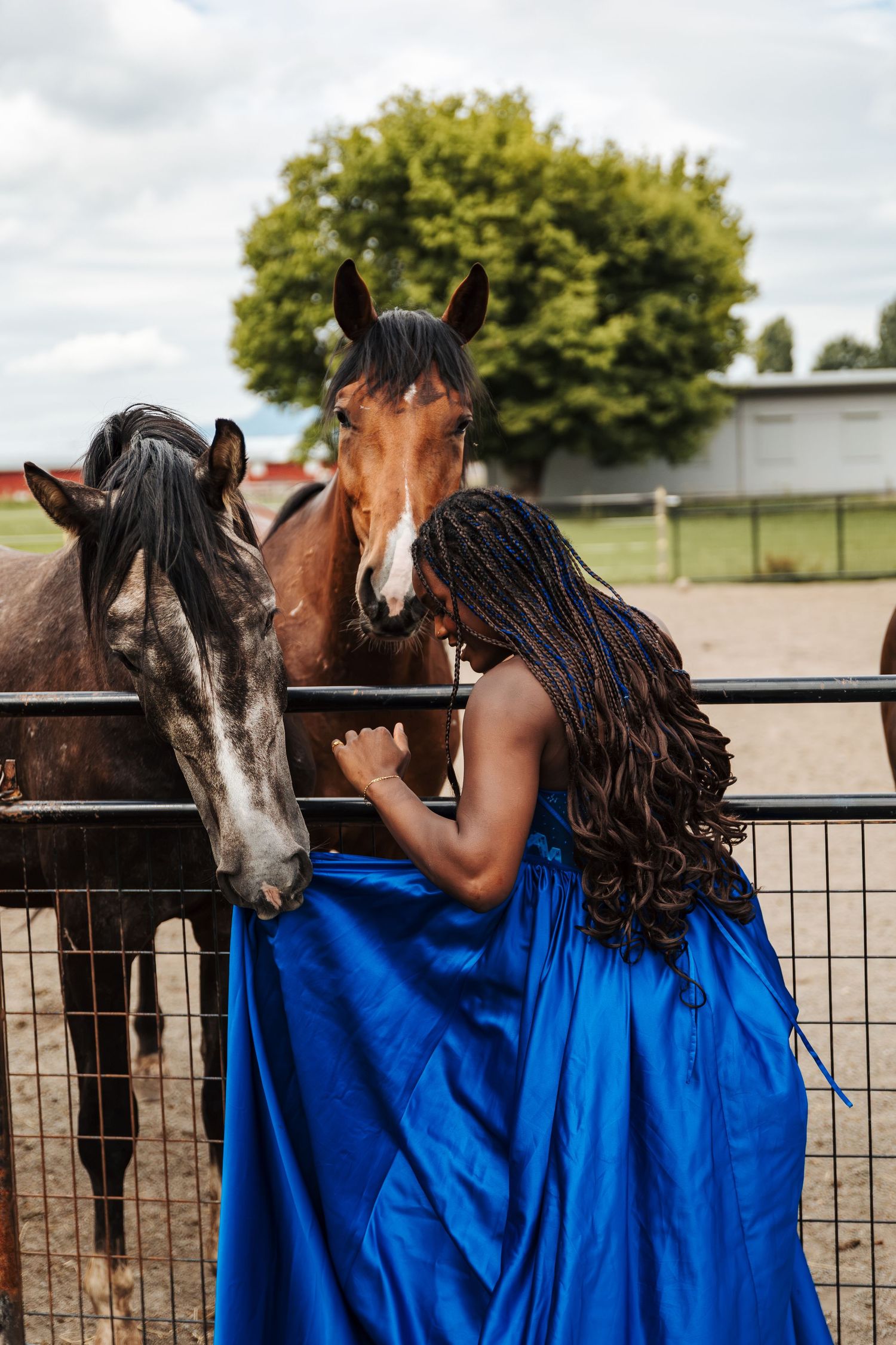 stony plain family photographers, grad photos, edmonton family and newborn photography, onoway photographer, equine, horse photographer
