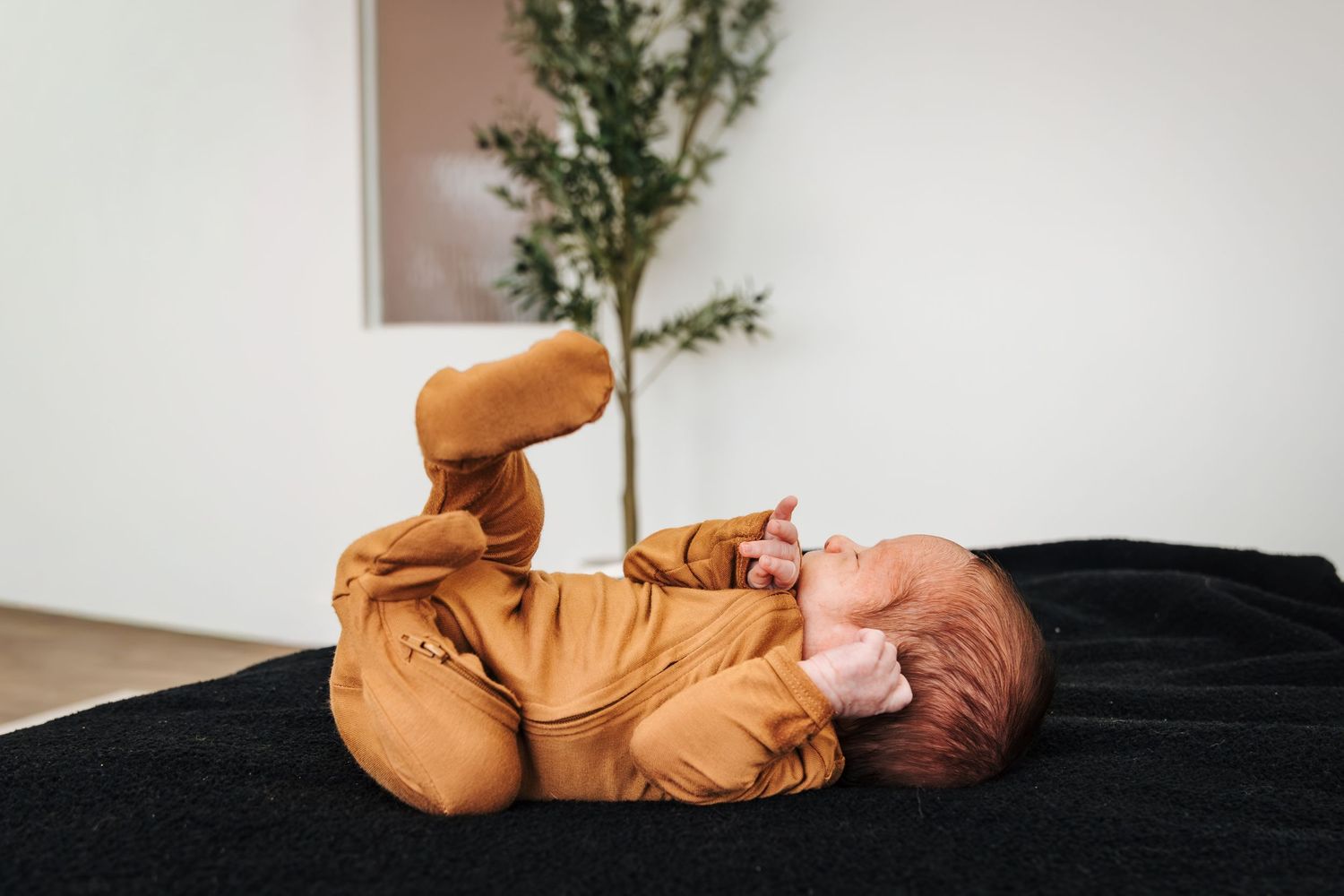 family and newborn photographers near Edmonton and Spruce Grove. Baby boy posing on bed for photoshoot. Maternity pictures outside.