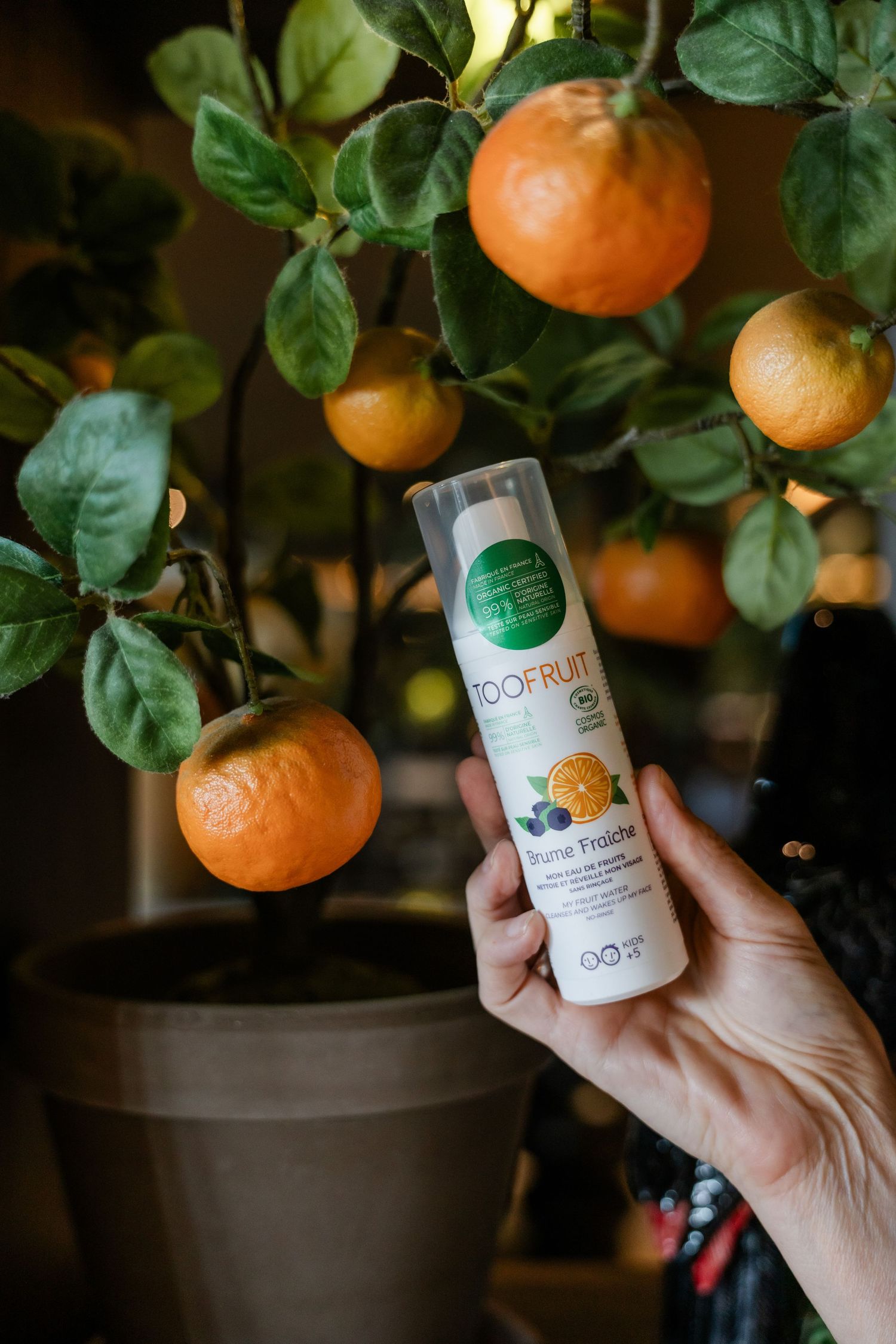 Hand met TOOFRUIT Brume Fraiche biologische spray in de buurt van een citrusboom in potten.
