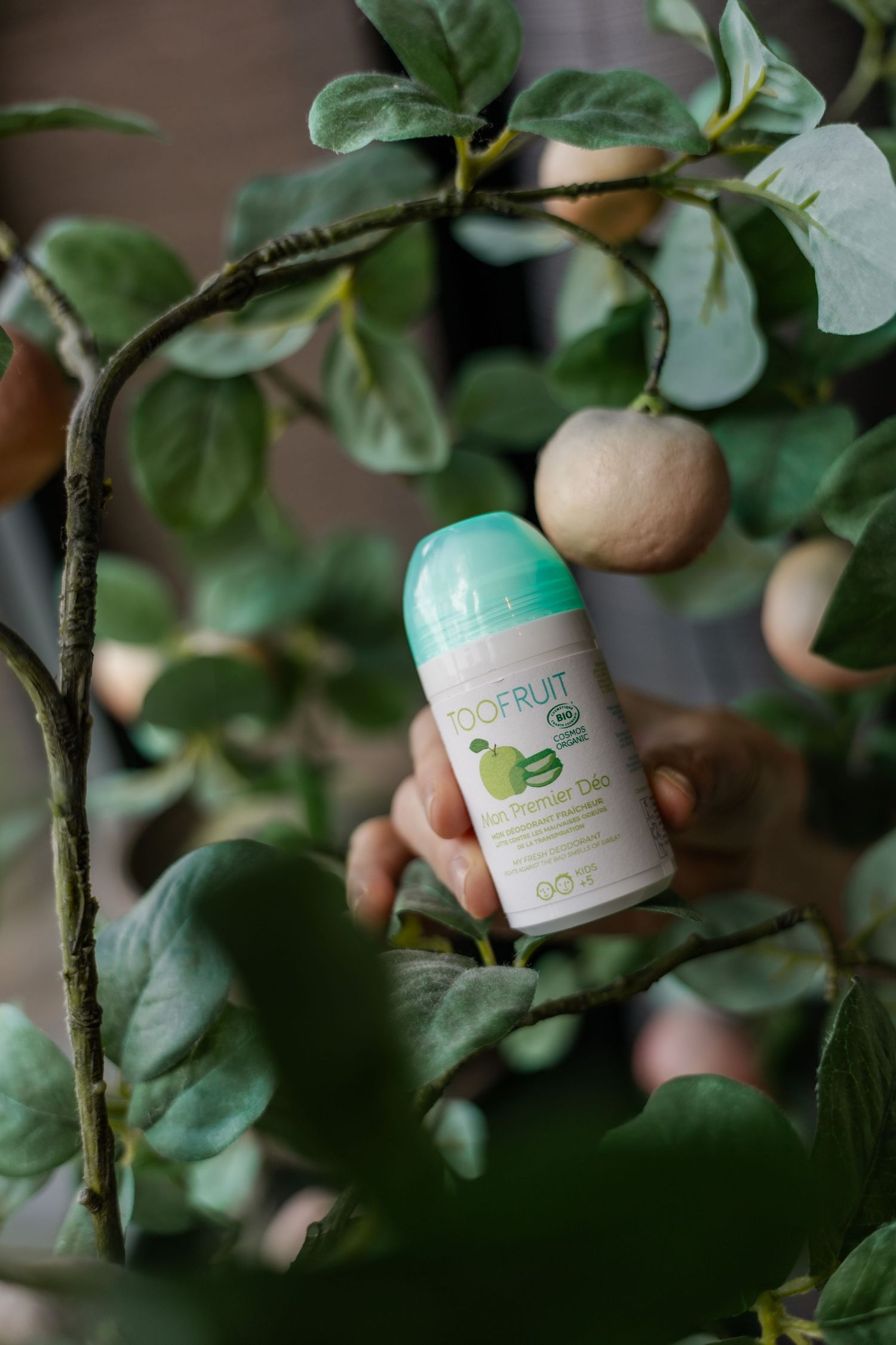 Hand holding Biofruit organic roll-on deodorant nestled among green tropical plant leaves.