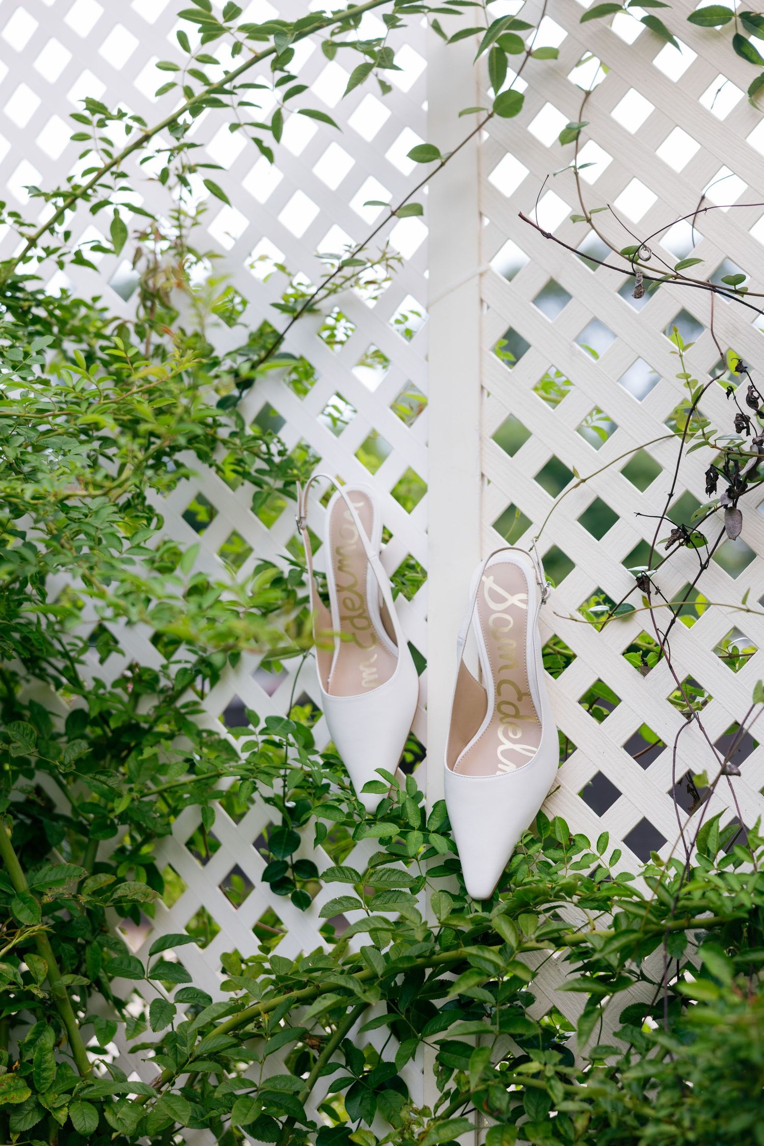 White slingback heels displayed on a white lattice fence surrounded by lush green foliage for a garden wedding.