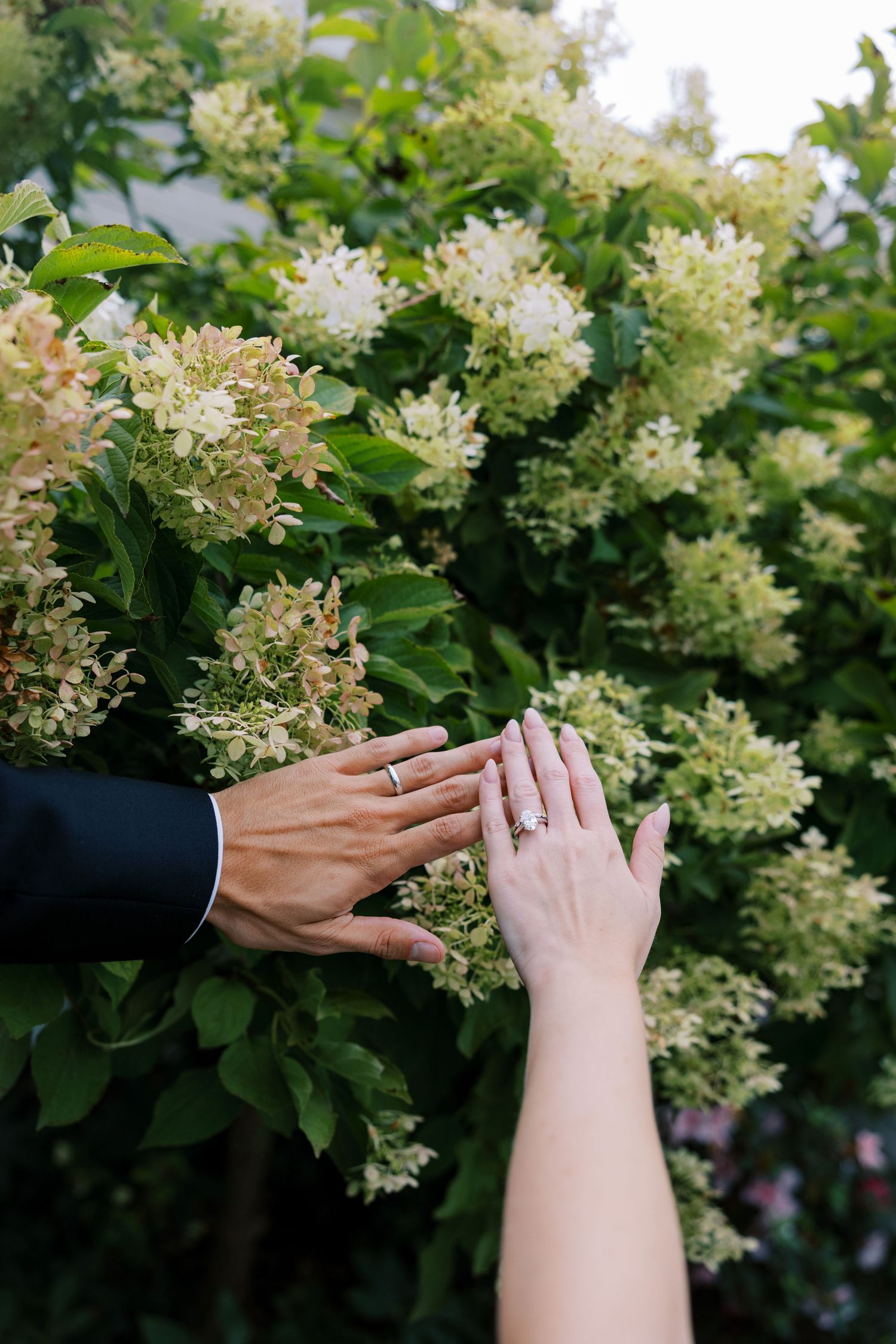 Two hands with wedding rings touching white hydrangea flowers in a lush green garden setting.