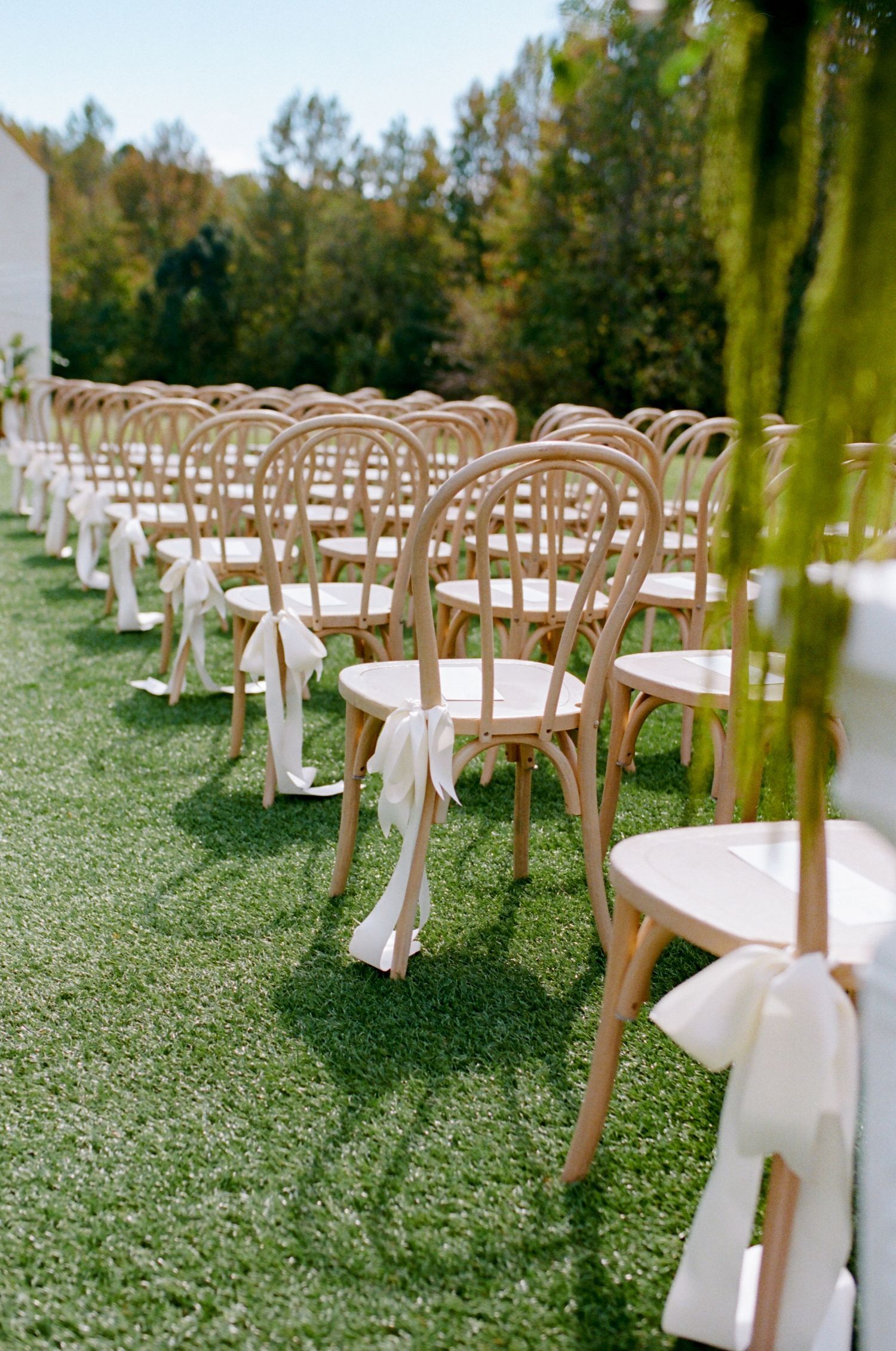 Wooden bentwood chairs with white ribbons arranged in rows on green grass for an outdoor wedding ceremony.