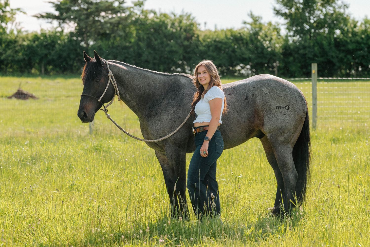 Columbus, Ohio Wedding Photographer, Columbus, Ohio Equine Photographer, Central Ohio Engagement Photographer, Central Ohio Wedding Photos