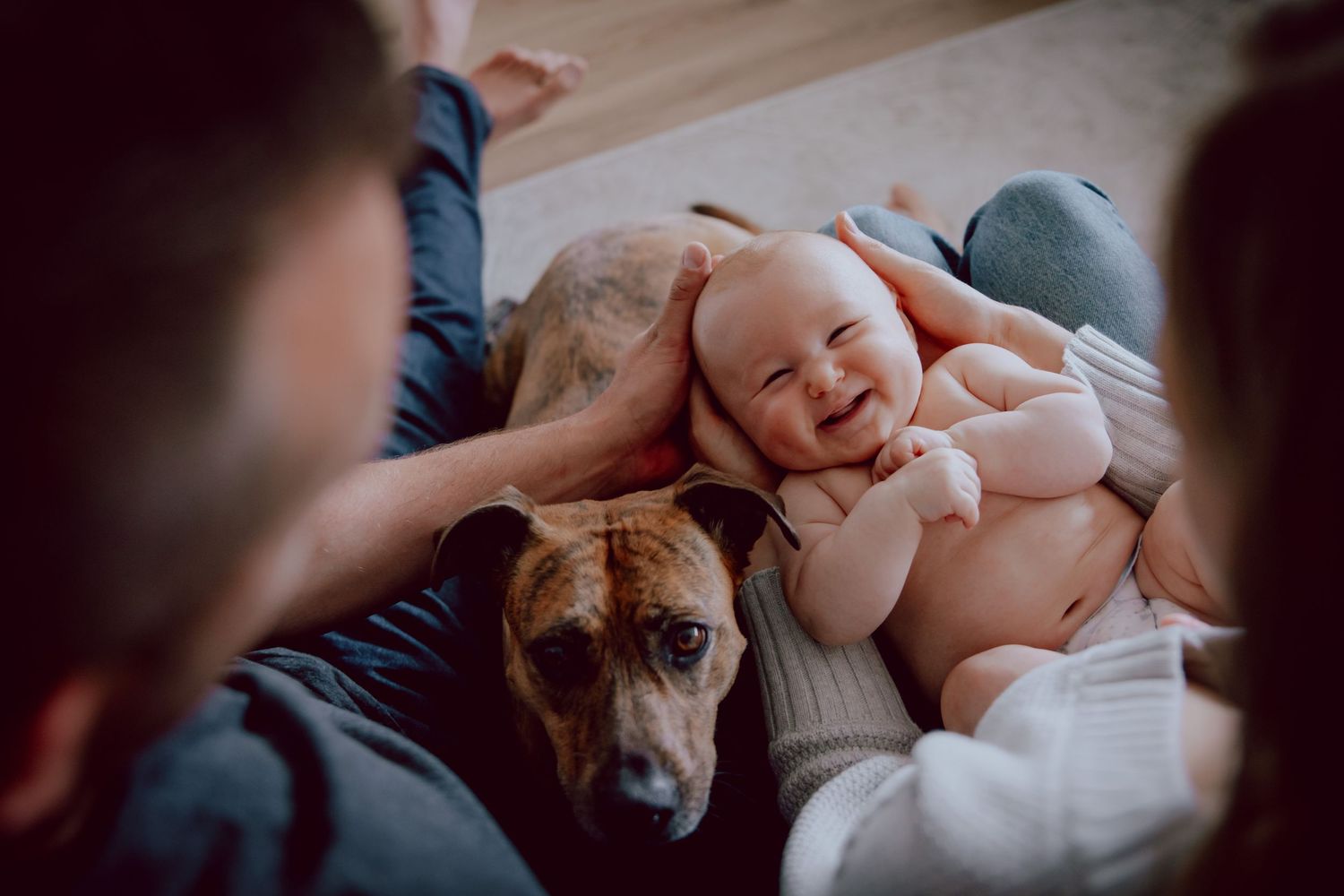 A brown dog lying on couch beside sleeping infant in pink onesie placed between two people.