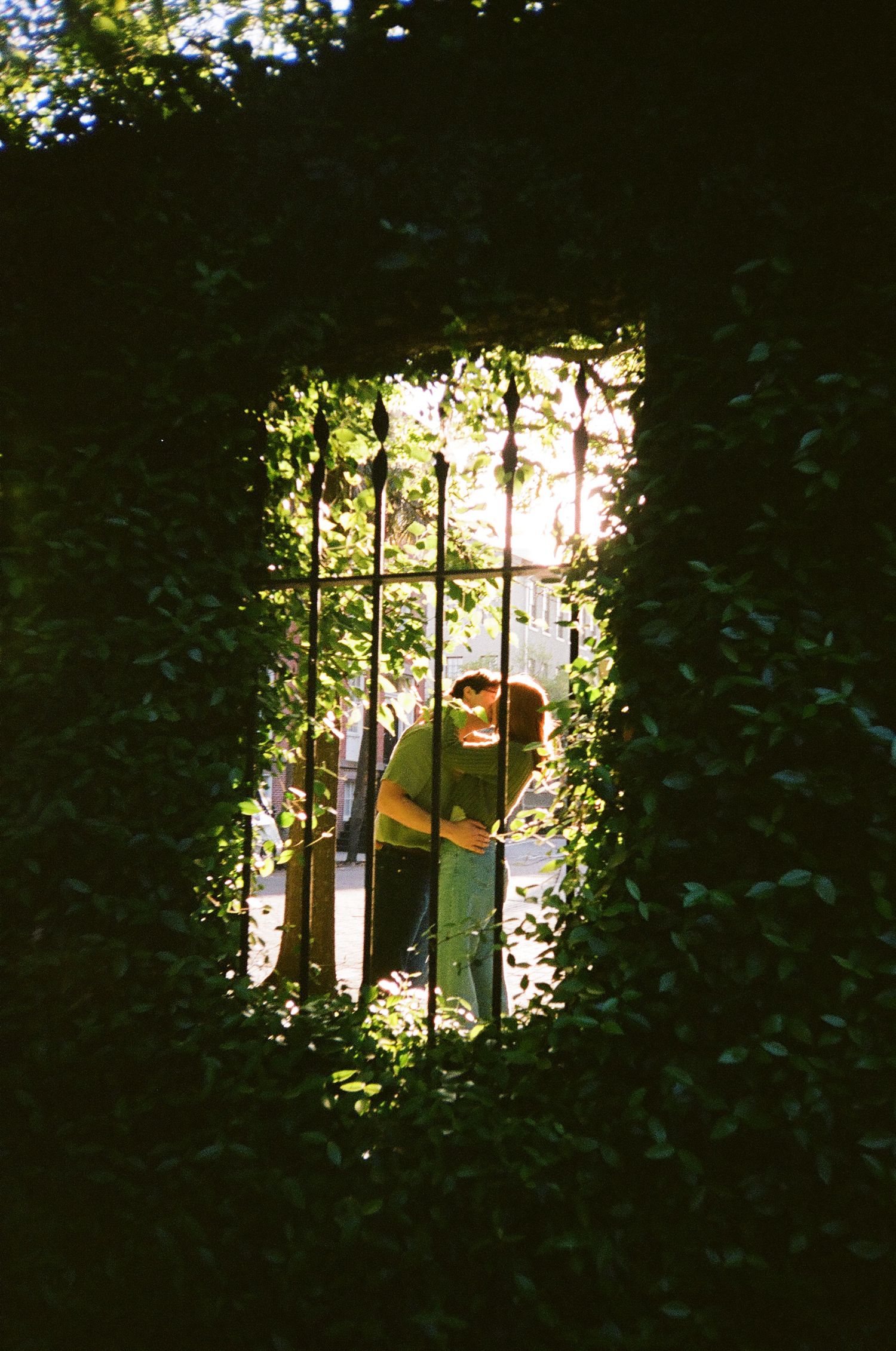 A film photo of a couple embracing and kissing through a grate in a hedge