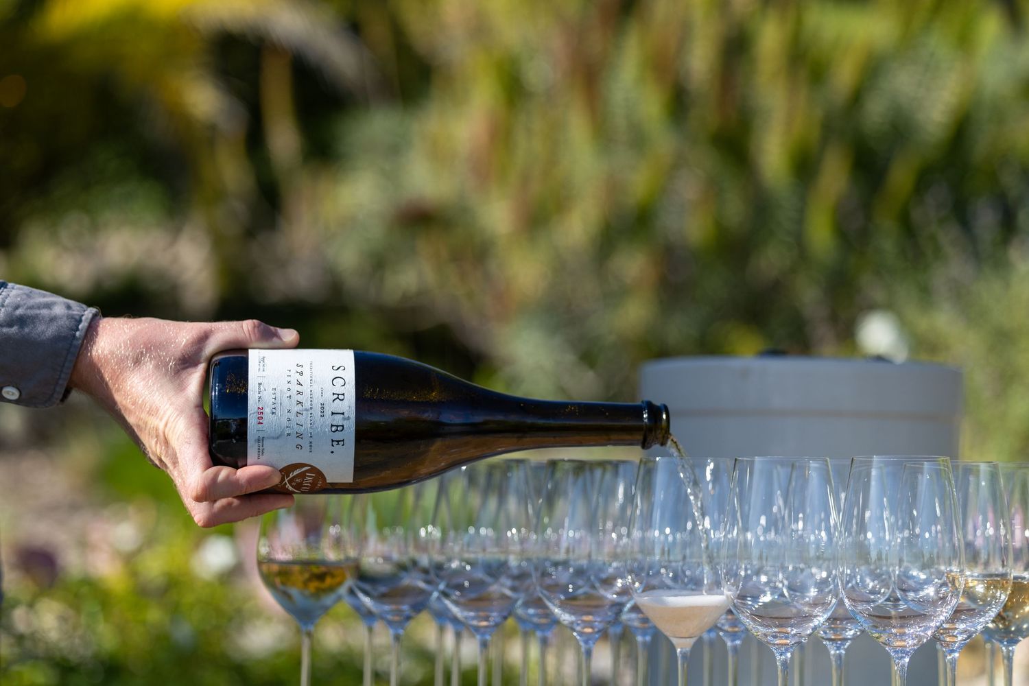 Hand pouring white wine from bottle into rows of elegant glasses at outdoor vineyard event.