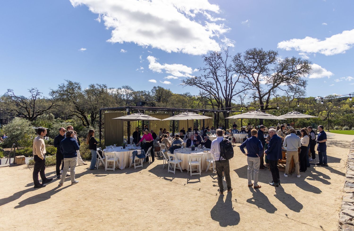 Outdoor gathering with guests mingling around white-clothed tables under blue skies at a sunny vineyard event.