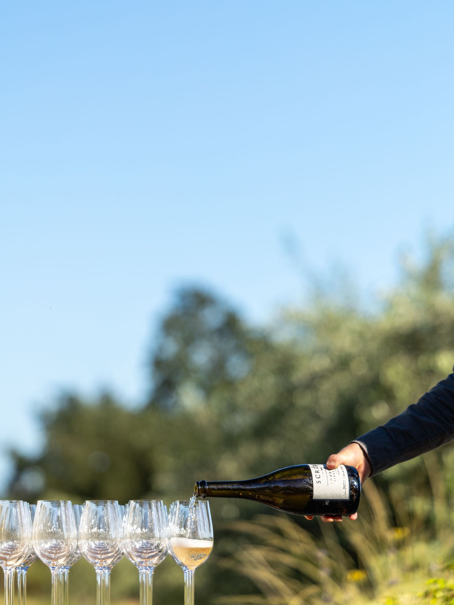 A sommelier pours white wine into a row of elegant glasses outdoors under a clear blue sky.