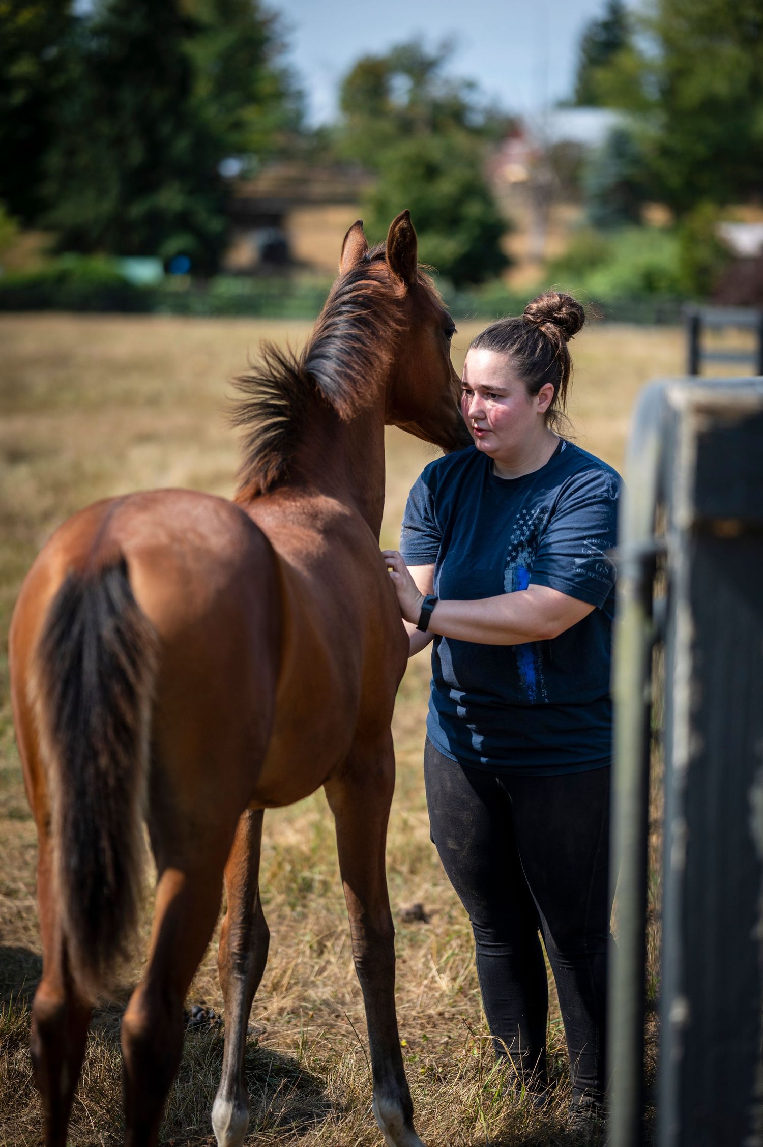 Young woman in blue shirt stands beside a brown foal in a sunny outdoor paddock field.