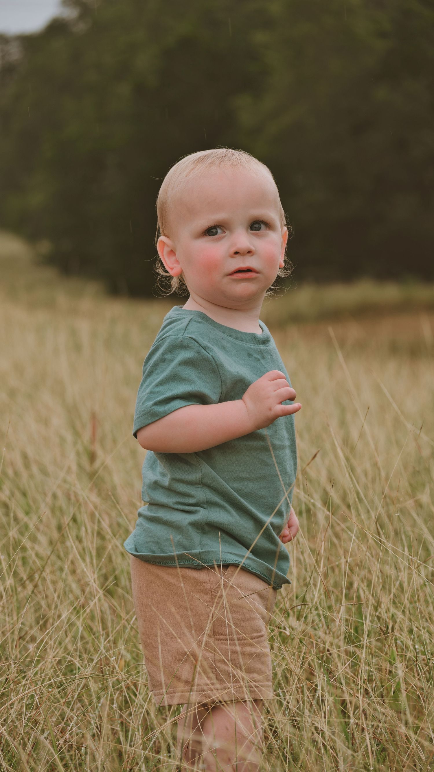 Toddler boy in green t-shirt standing in tall golden grass field with trees in background for a family session.