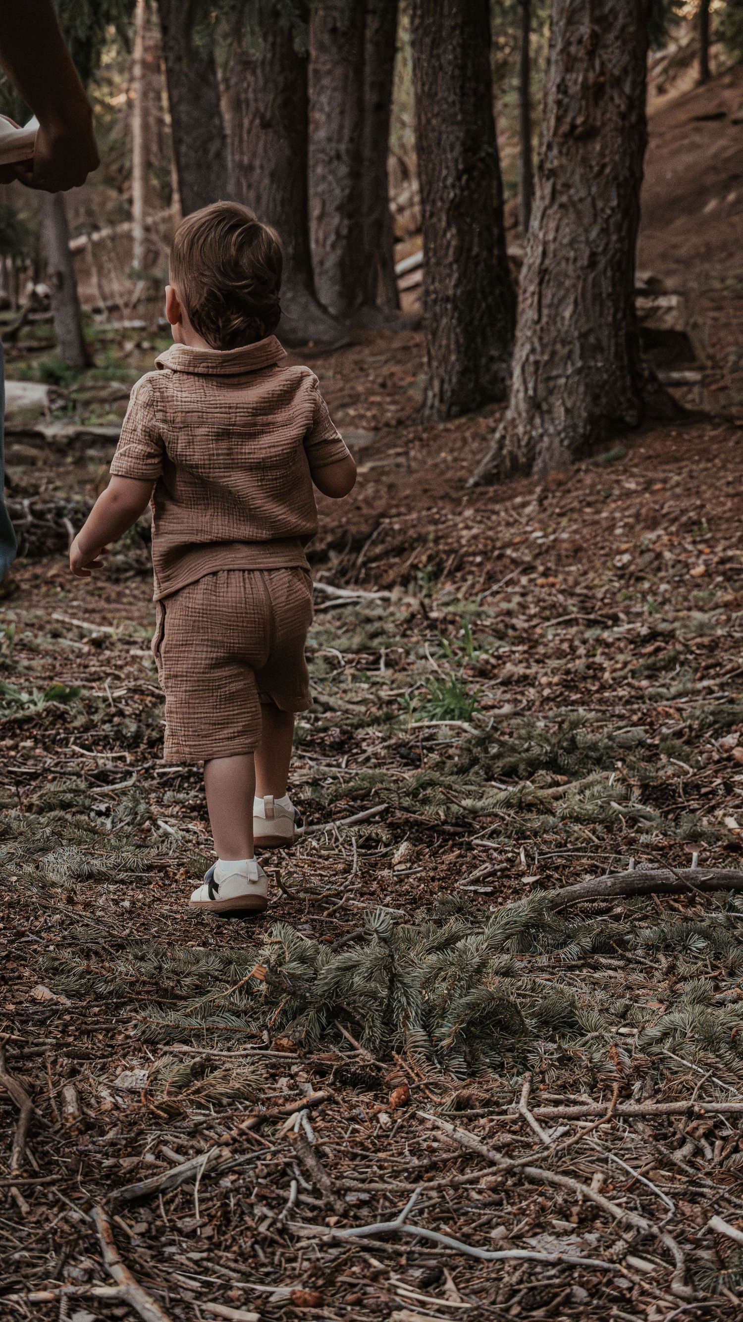 A toddler boy in a brown outfit walks along a forest floor covered with pine needles and twigs.