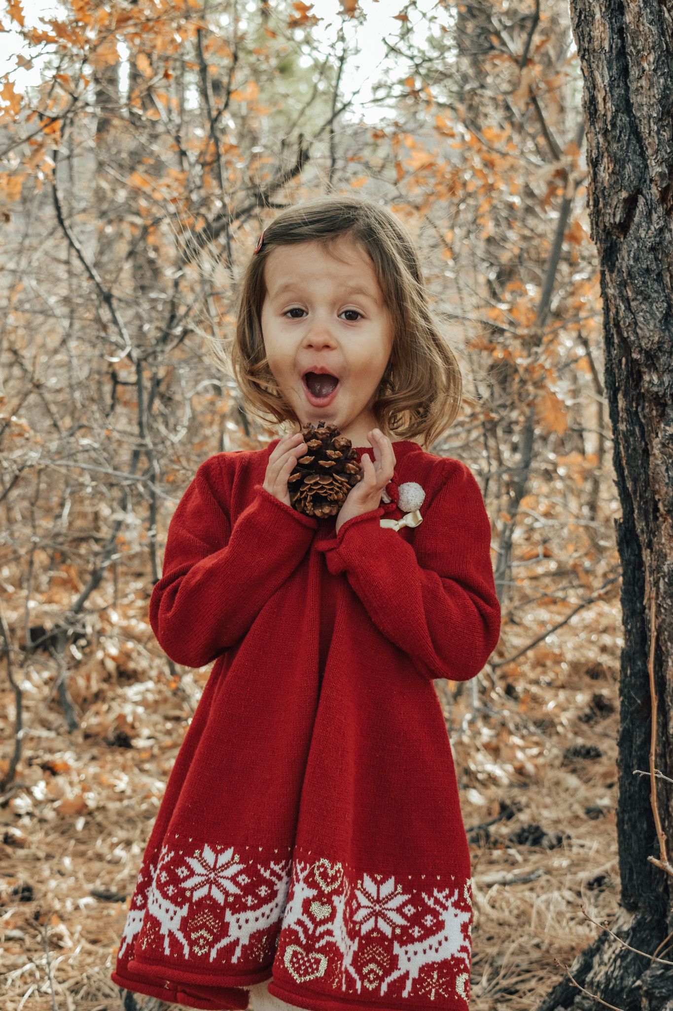 A surprised little girl in a red Nordic knit dress holds a pine cone in an autumn forest.