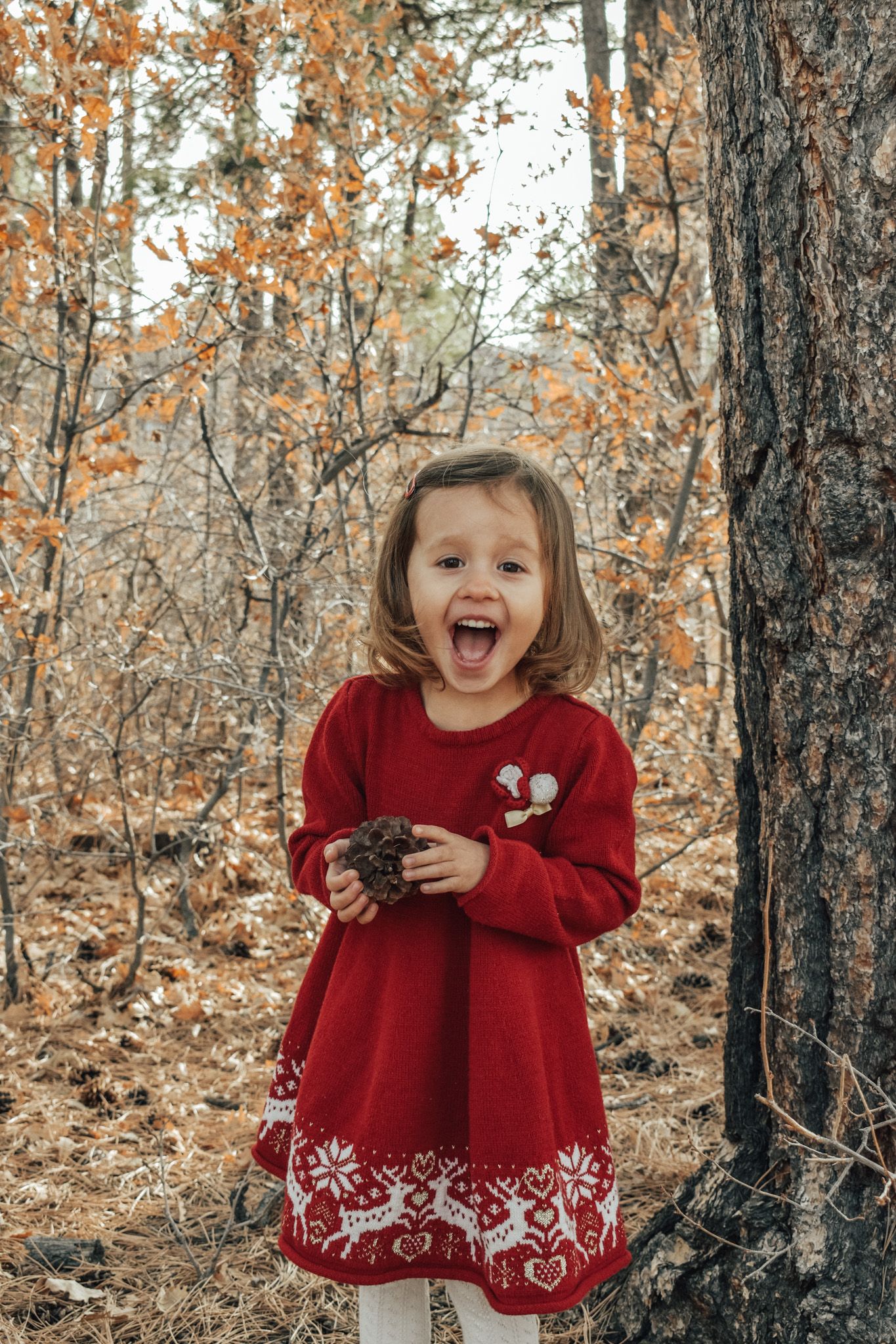 A joyful little girl in a red Christmas dress laughs while holding a pine cone outdoors.