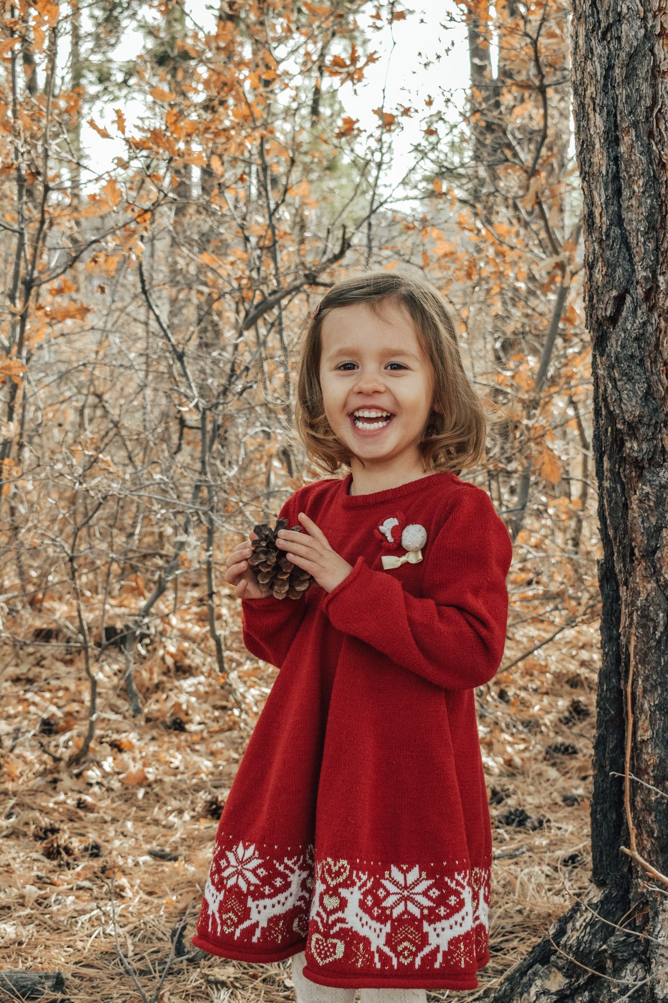 A smiling little girl in a red festive knit dress holds a pine cone in autumn woods.