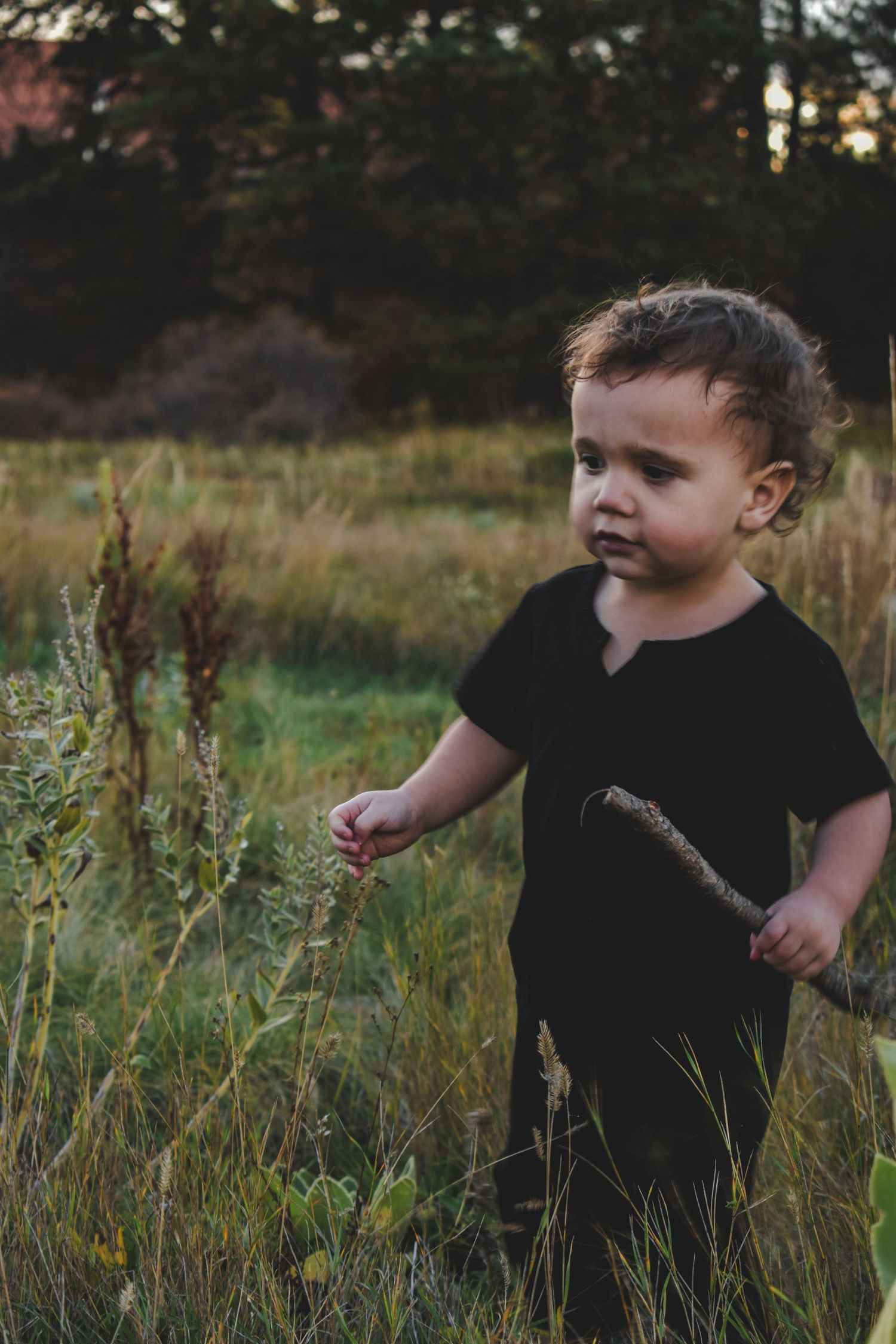 A curious toddler in a black outfit explores a grassy field at sunset, holding a small stick among wildflowers.